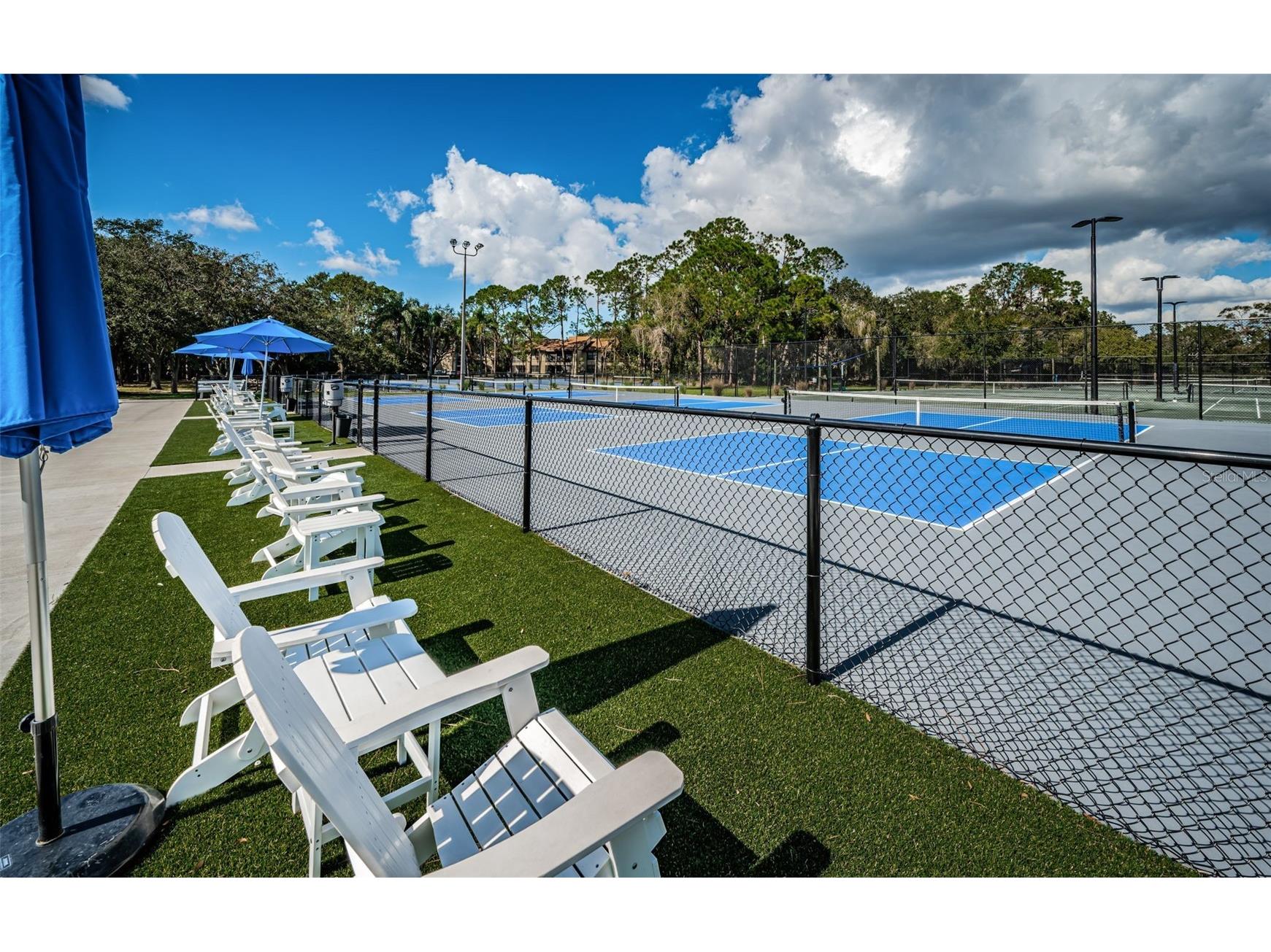 205 Woods Landing Trail Oldsmar FL 34677 TB8524916 image64