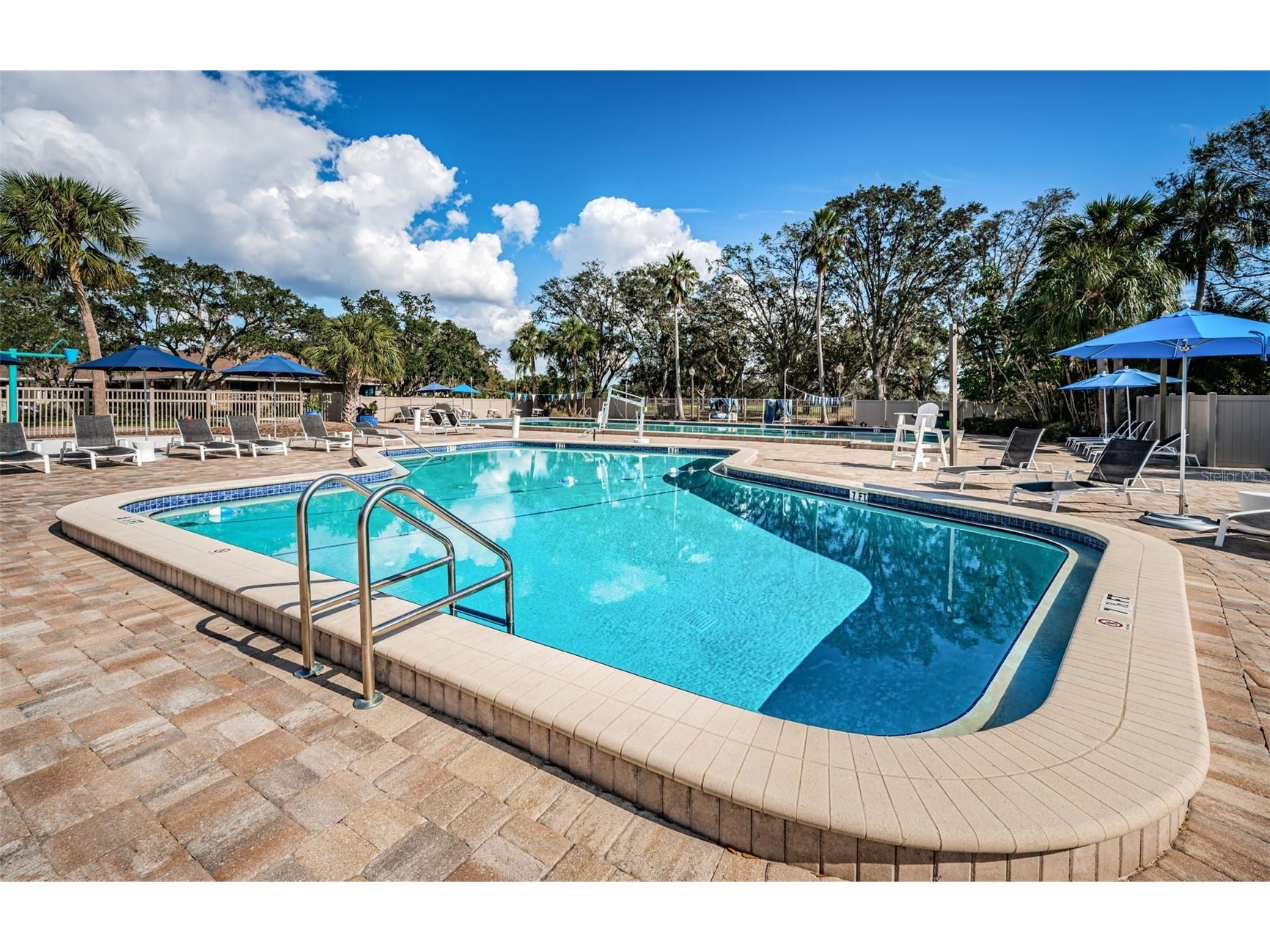 205 Woods Landing Trail Oldsmar FL 34677 TB8524916 image65