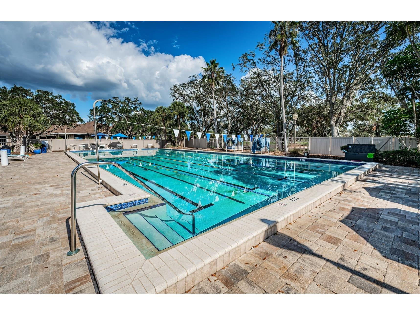 205 Woods Landing Trail Oldsmar FL 34677 TB8524916 image68