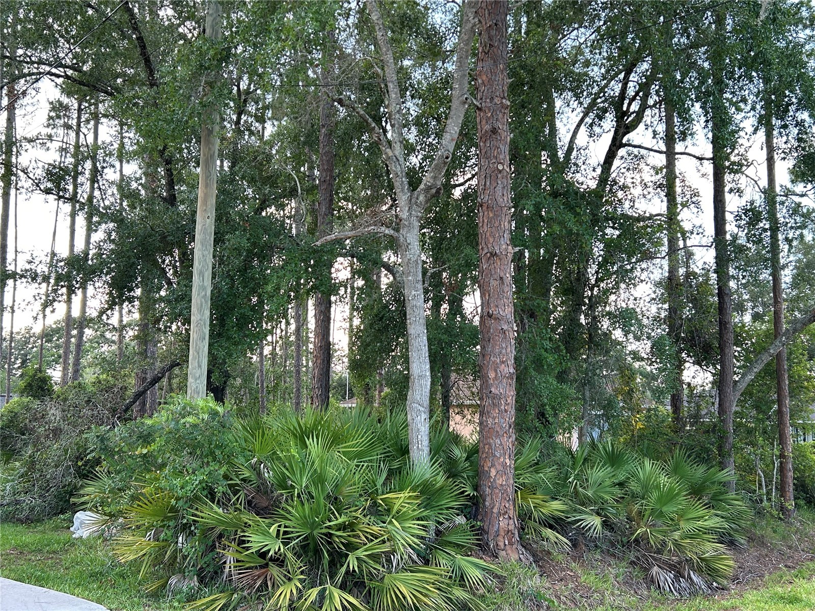 2050 10th Avenue Deland FL 32724 O6317330 image1