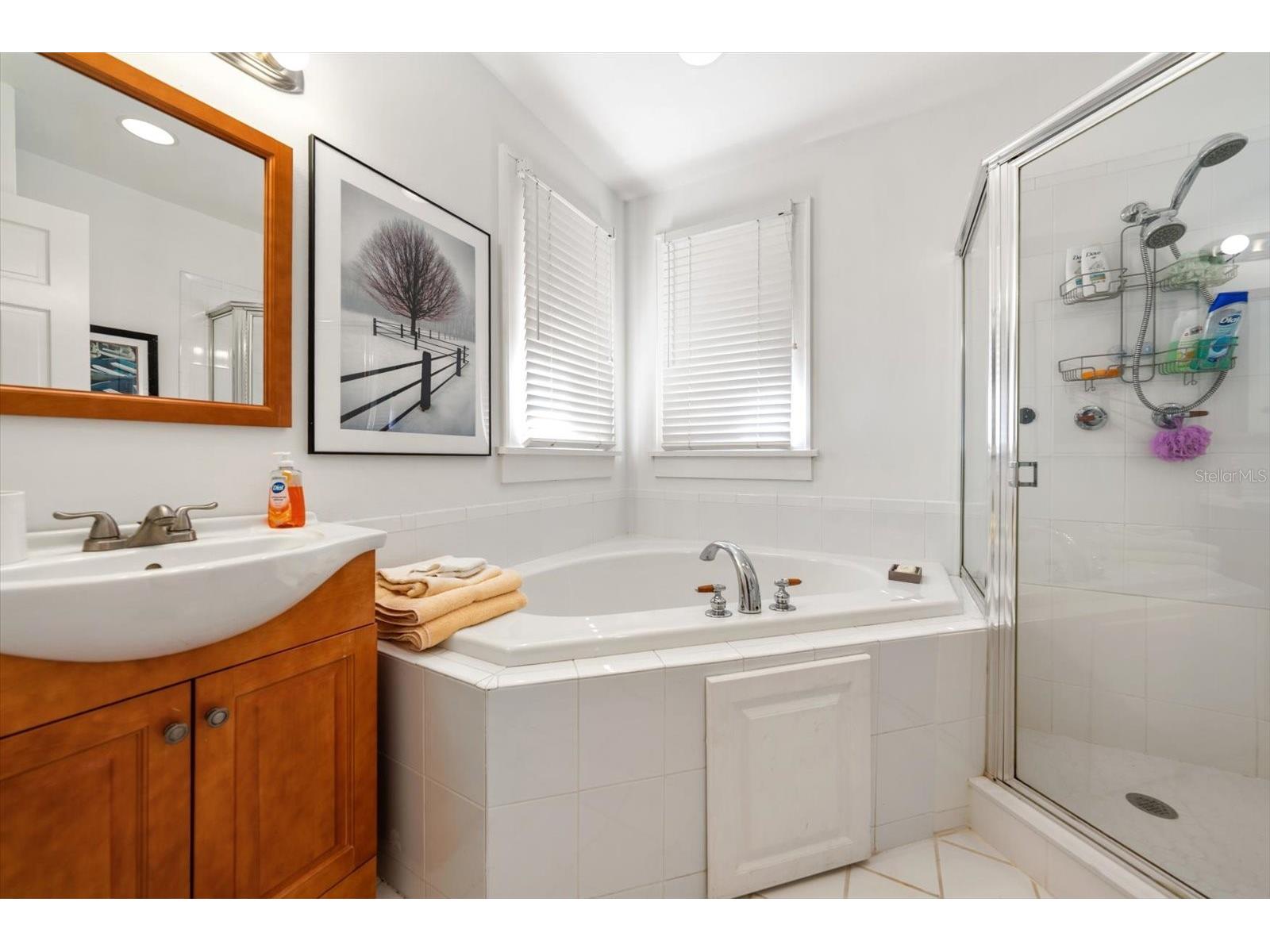 2050 Coffee Pot Boulevard NE Saint Petersburg FL 33704 - COFFEE POT BAYOU/TAMPA BAY TB8485425 image46