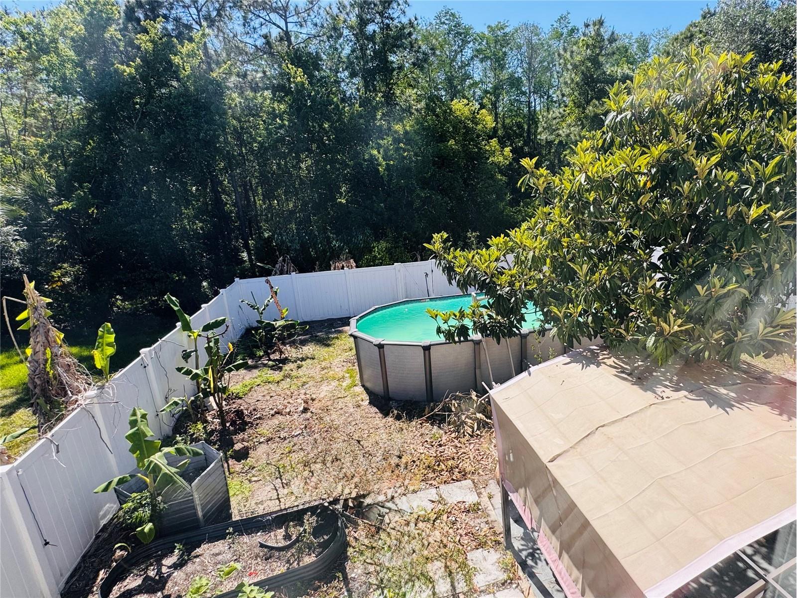 2050 Corner Glen Drive Orlando FL 32820 O6399622 image33