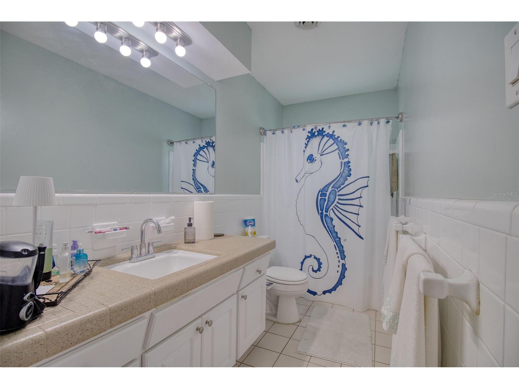 2050 Magnolia Drive Clearwater FL 33764 TB8468827 image23