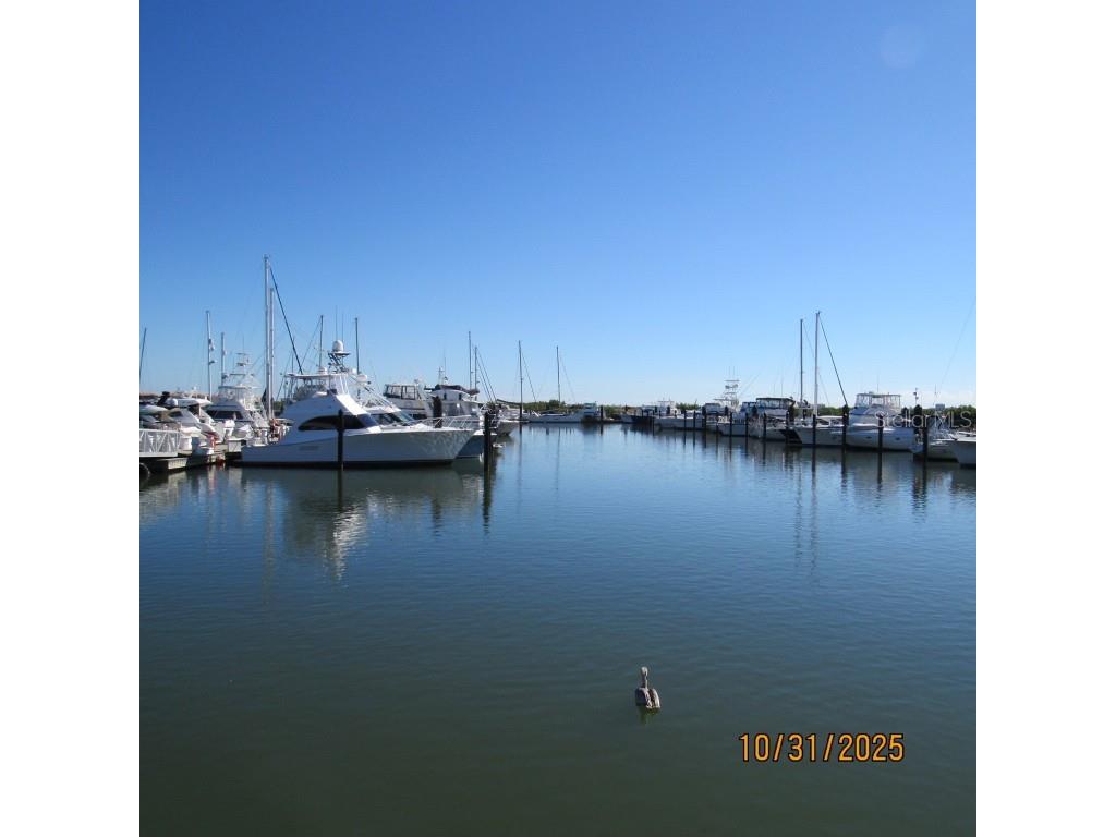 2050 Oleander Boulevard #10-106 Fort Pierce FL 34950 O6357682 image9