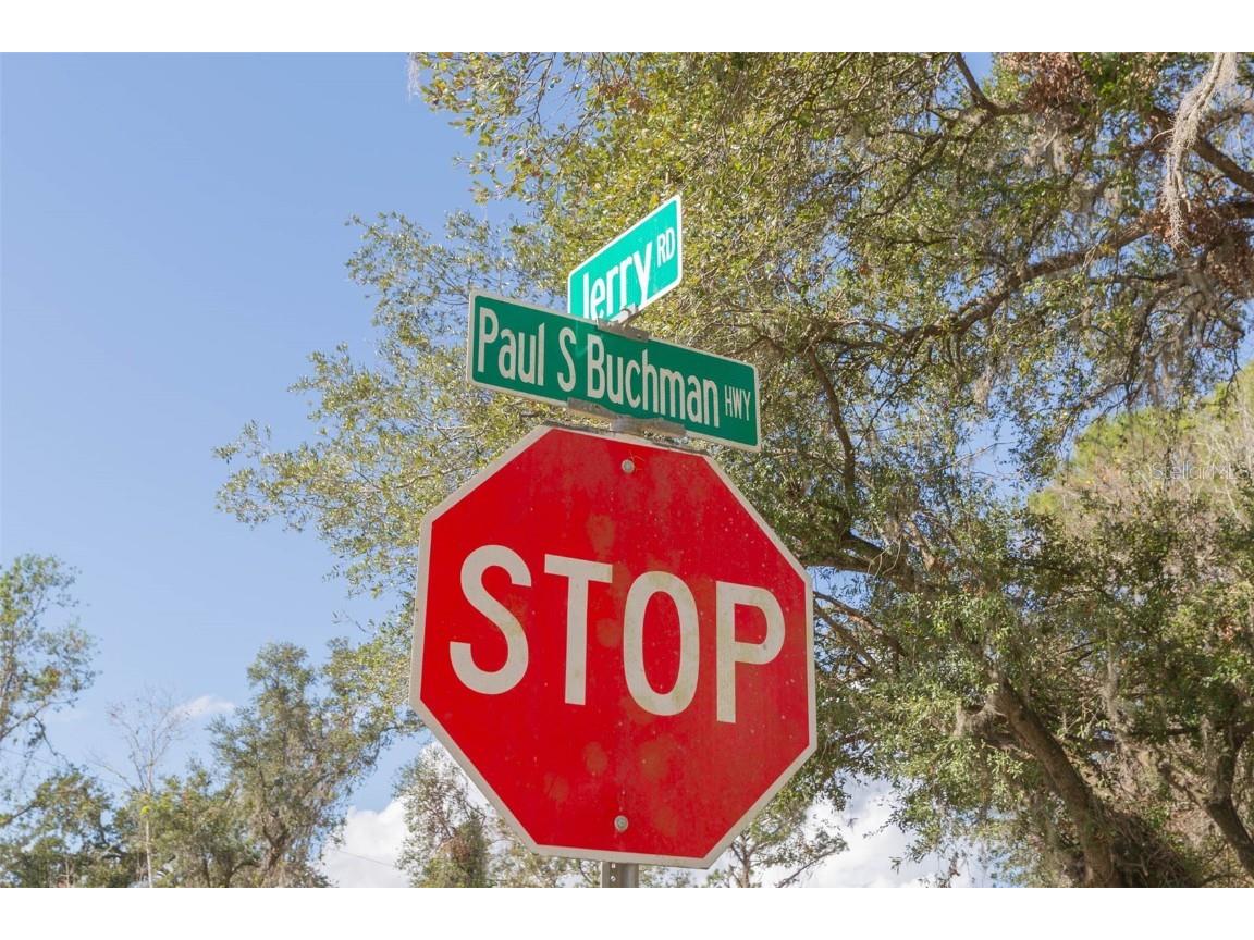 2050 Paul S Buchman Highway Zephyrhills FL 33540 TB8331294 image4