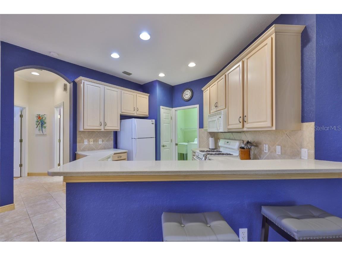 2050 Sifield Greens Way #19 Sun City Center FL 33573 TB8432172 image13