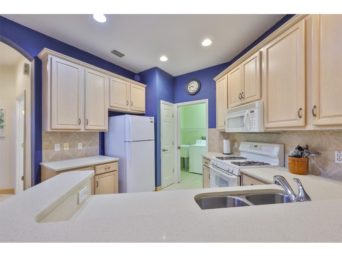 2050 Sifield Greens Way #19 Sun City Center FL 33573 TB8432172 image14