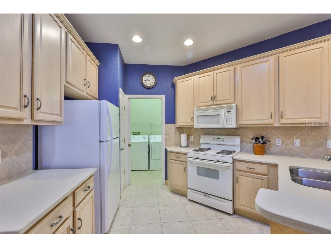 2050 Sifield Greens Way #19 Sun City Center FL 33573 TB8432172 image15