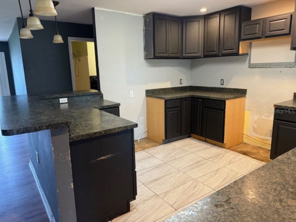 2050 Spring Lake Road Fruitland Park FL 34731 OM710179 image6