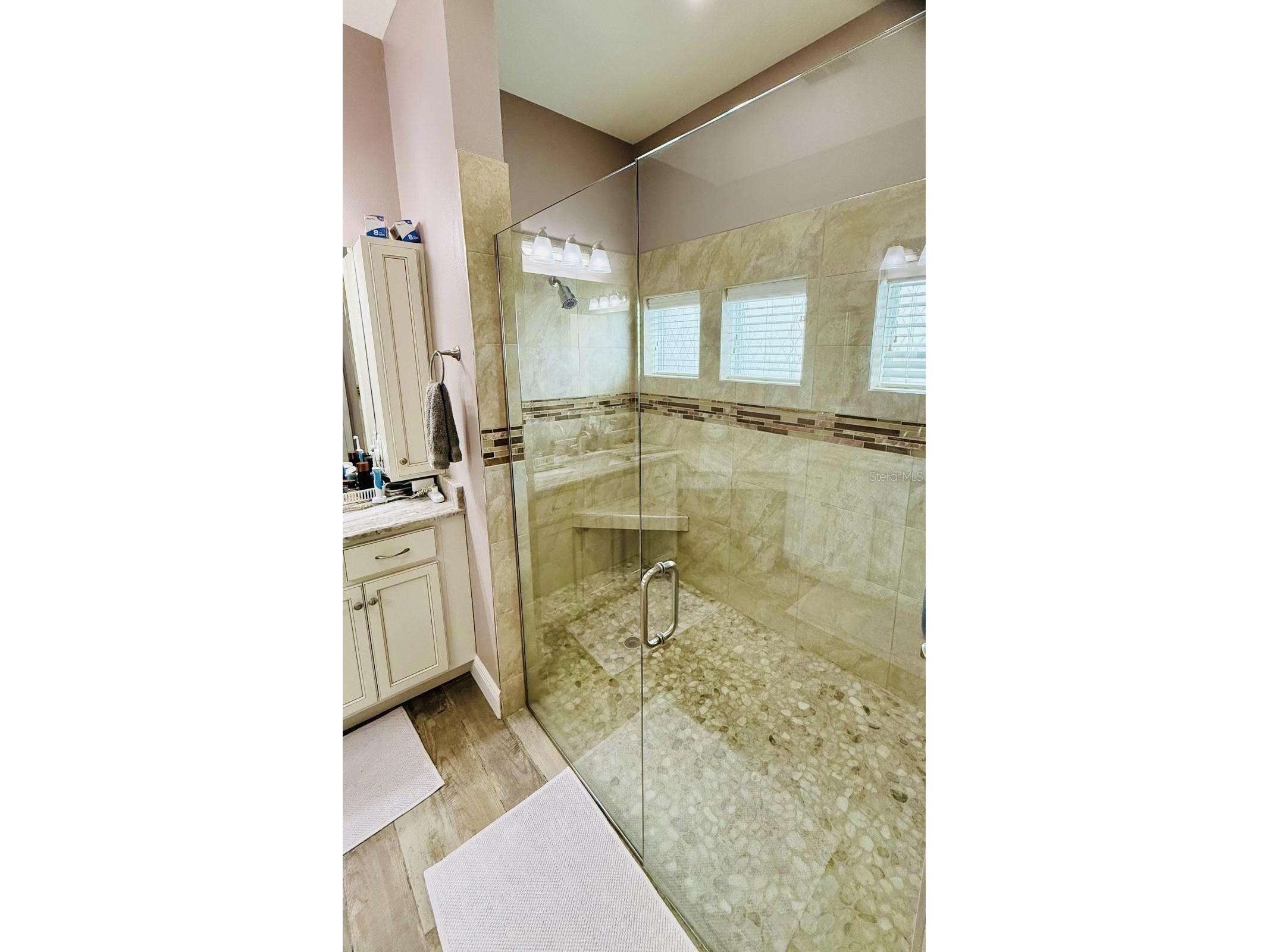 20500 Quinella Street Orlando FL 32833 S5147198 image20