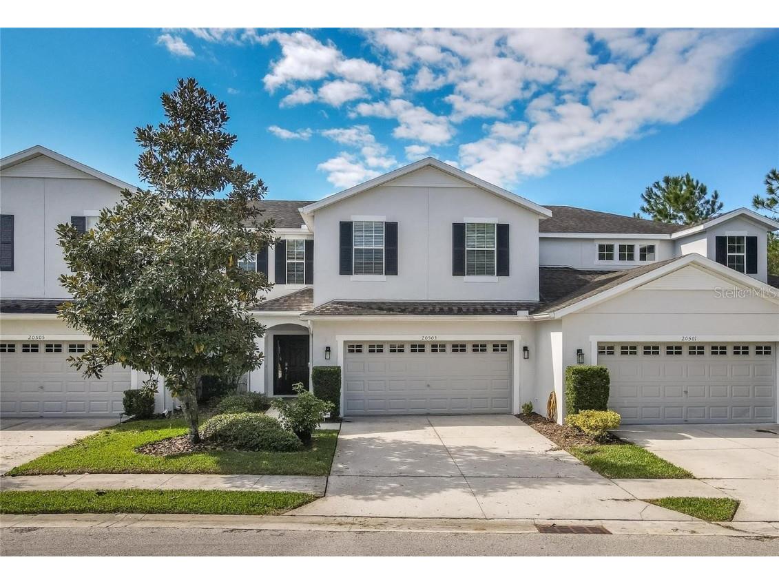 20503 Grand Vista Lane Tampa FL 33647 T3426127 image1