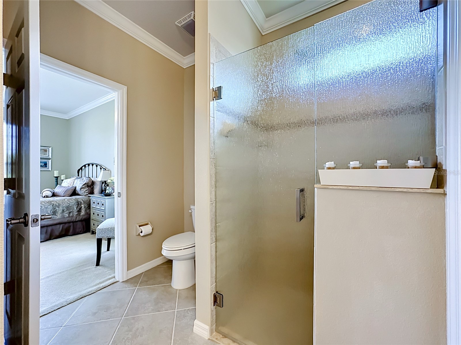 20504 Pezzana Drive Venice FL 34292 N6144256 image46