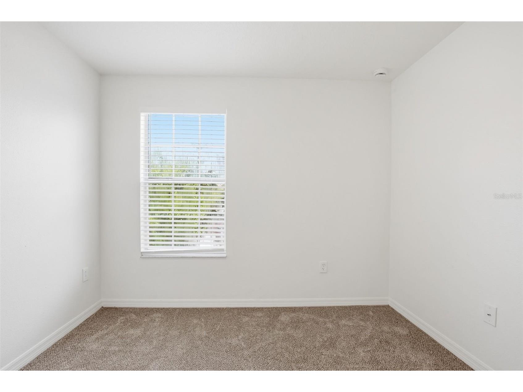 20506 Carolina Cherry Court Tampa FL 33647 O6412763 image24