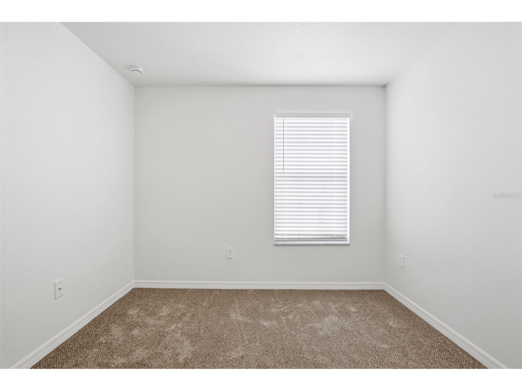 20506 Carolina Cherry Court Tampa FL 33647 O6412763 image26