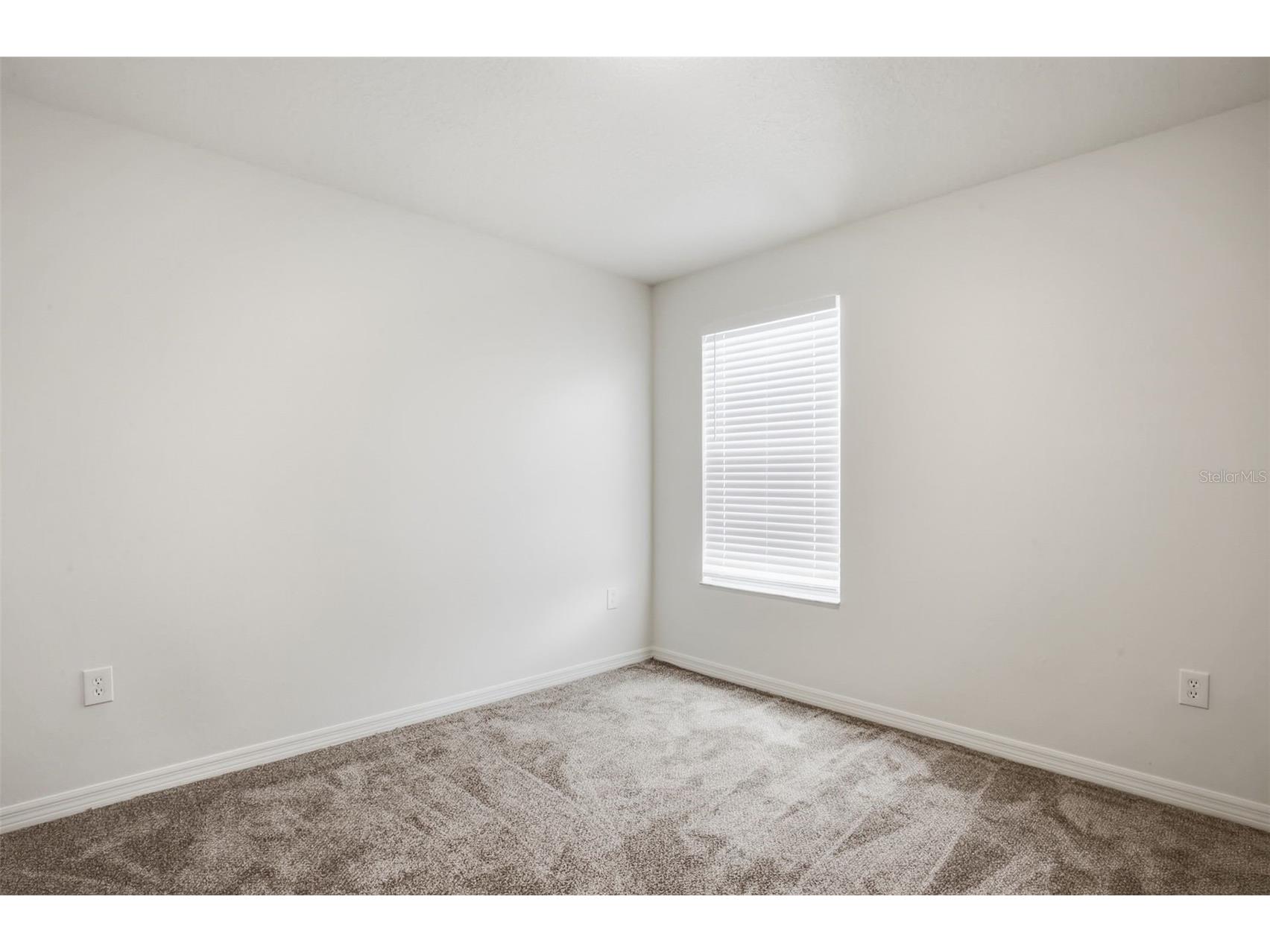 20506 Carolina Cherry Court Tampa FL 33647 O6412763 image28