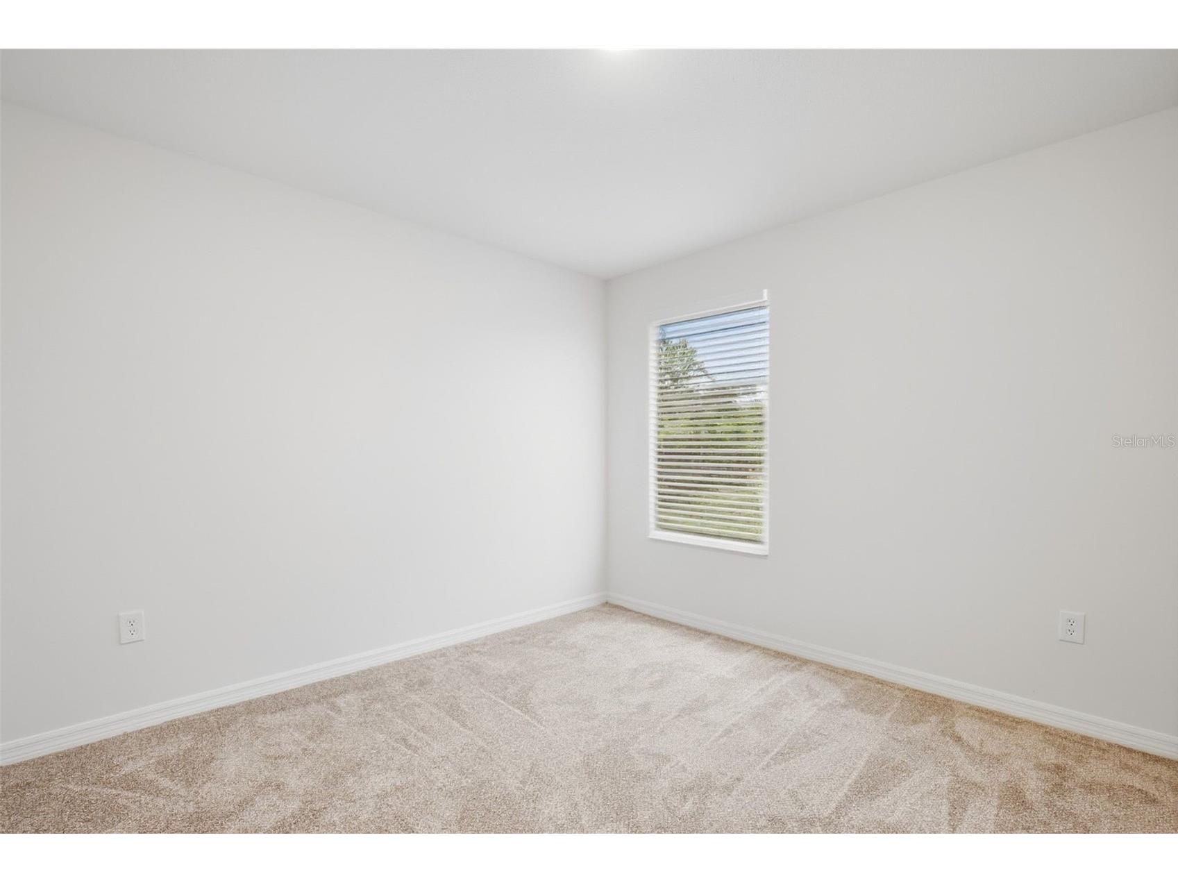 20506 Carolina Cherry Court Tampa FL 33647 O6412763 image29