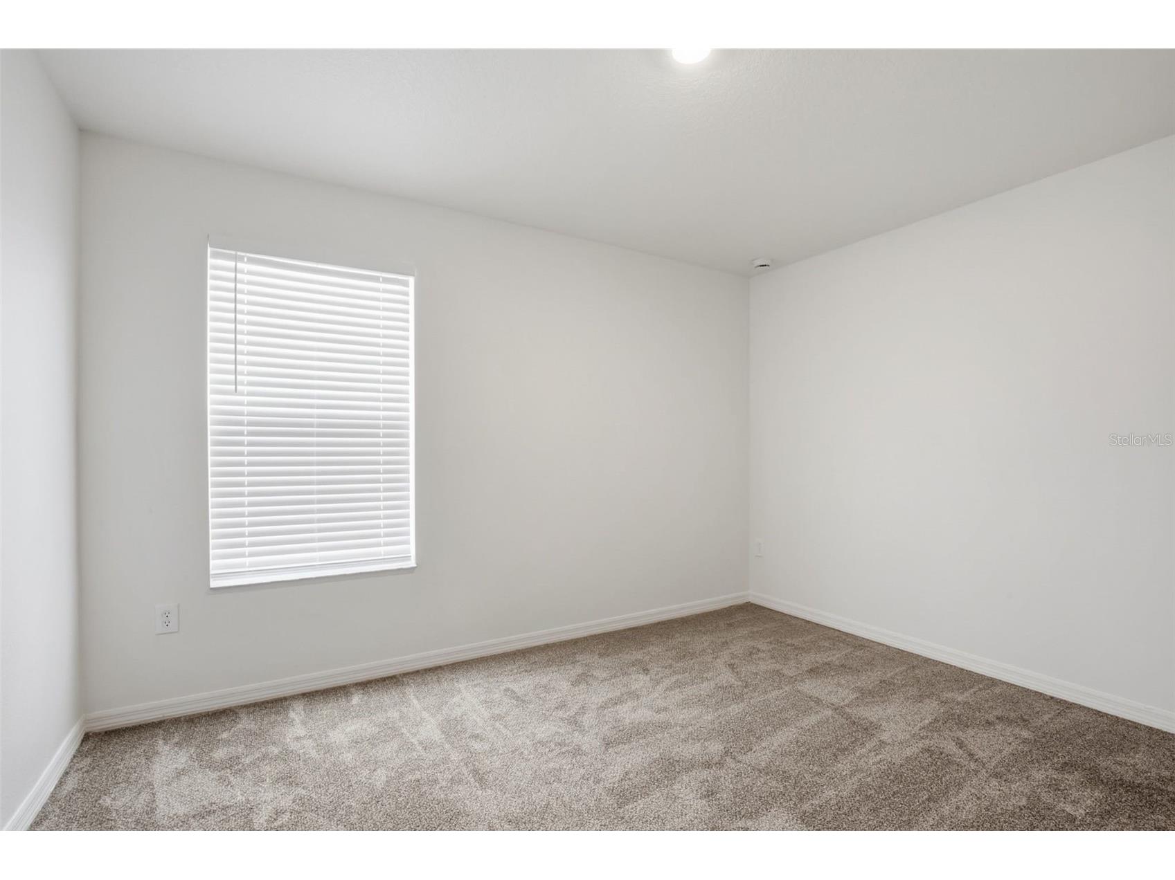 20506 Carolina Cherry Court Tampa FL 33647 O6412763 image31