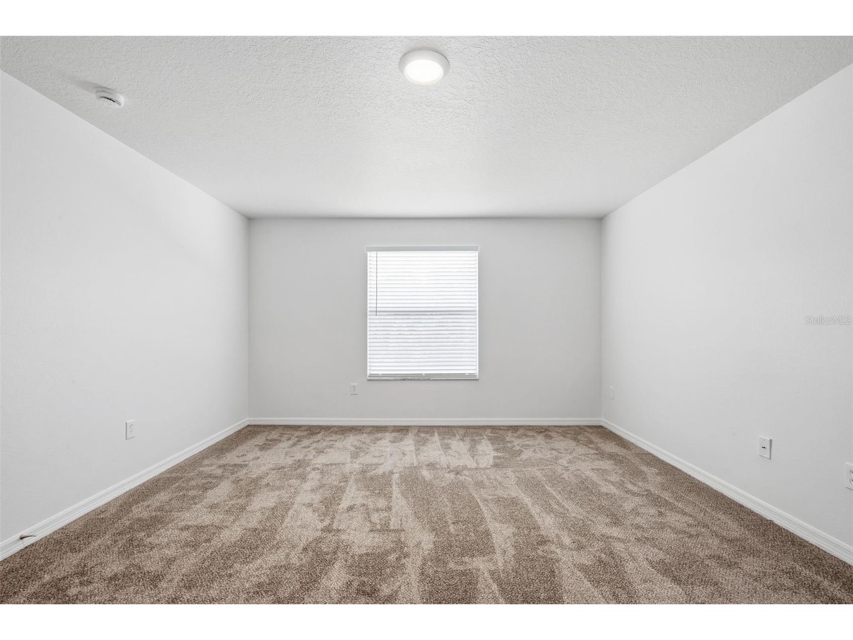 20506 Carolina Cherry Court Tampa FL 33647 O6412763 image33