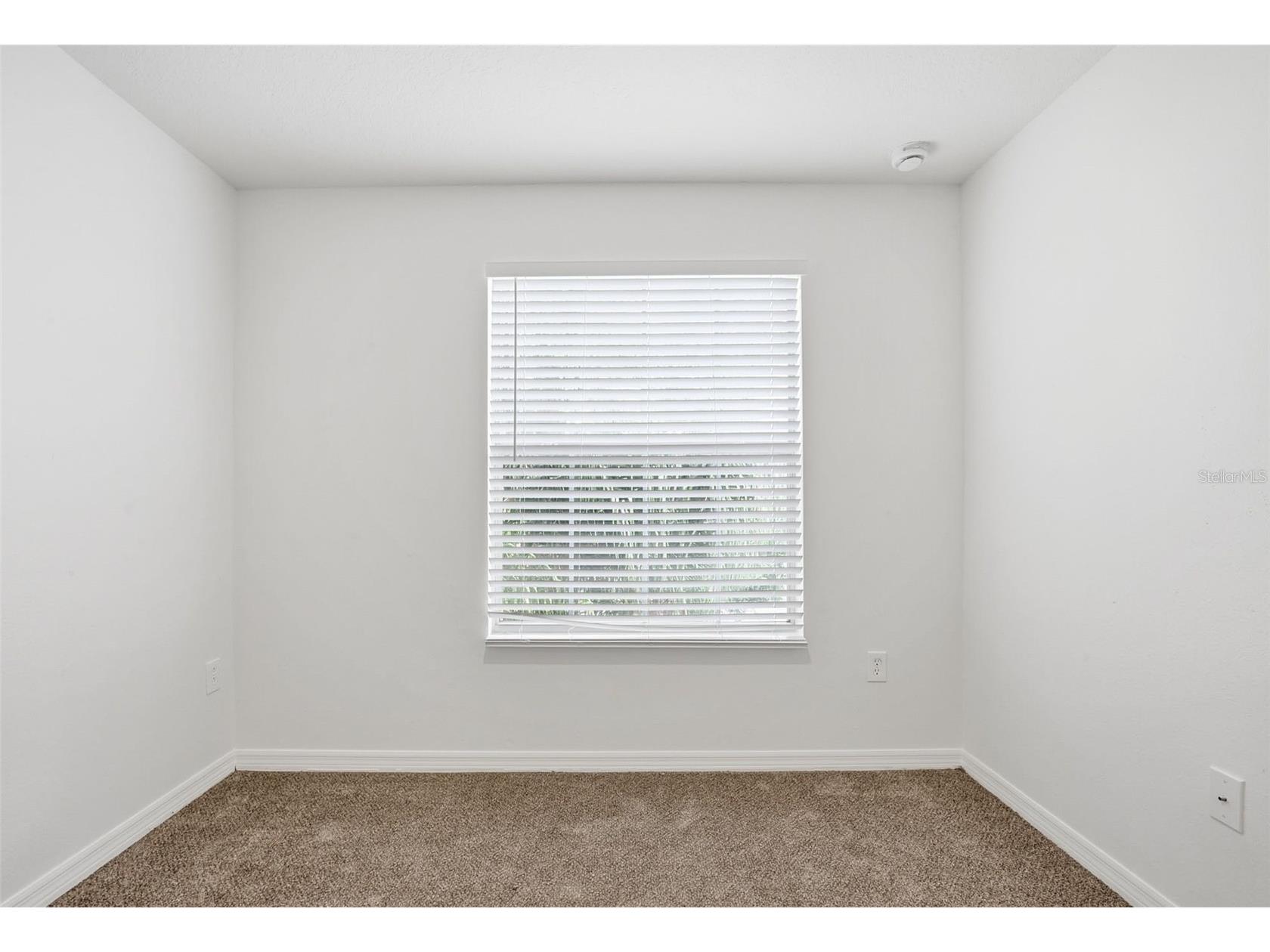 20506 Carolina Cherry Court Tampa FL 33647 O6412763 image36