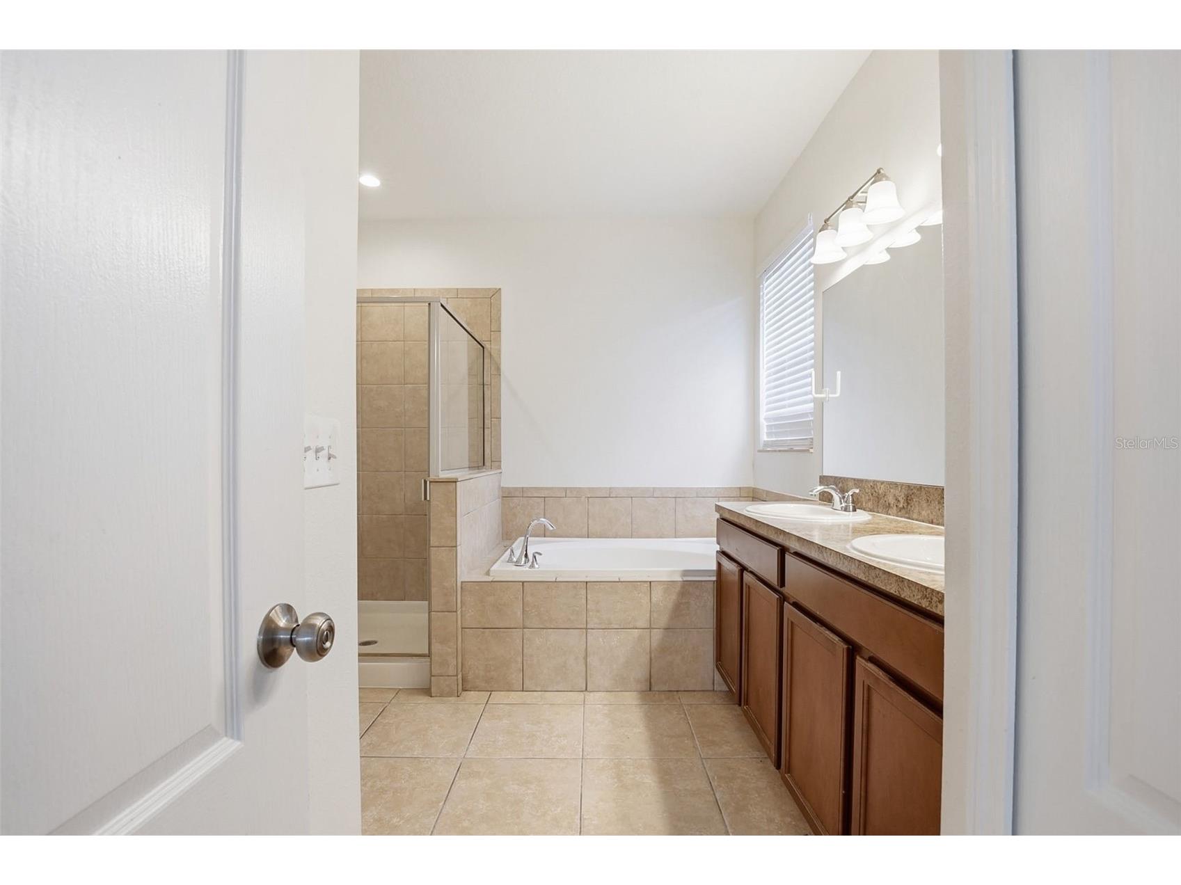 20506 Carolina Cherry Court Tampa FL 33647 O6412763 image38