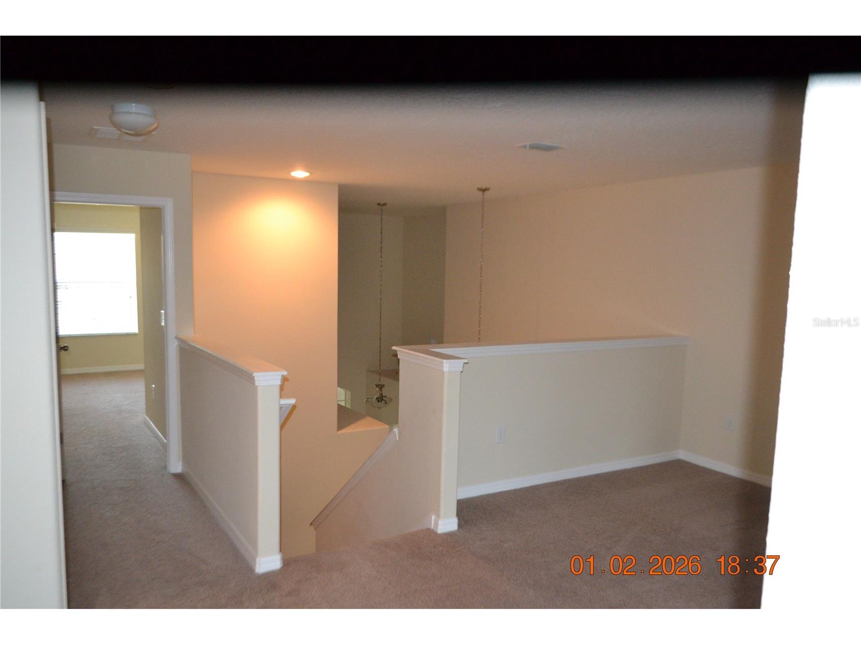 20509 Carolina Cherry Court Tampa FL 33647 TB8481103 image14