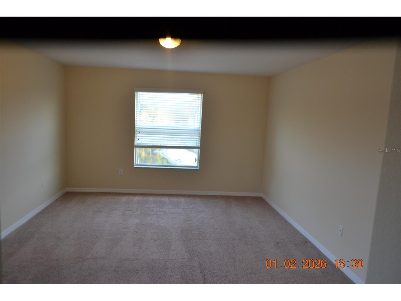 20509 Carolina Cherry Court Tampa FL 33647 TB8481103 image7