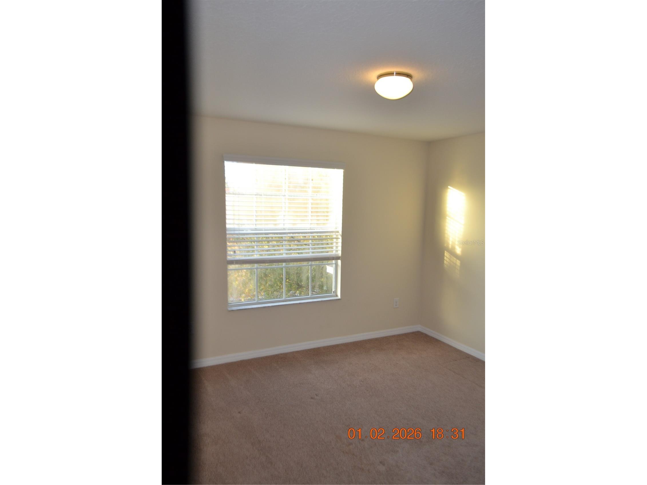 20509 Carolina Cherry Court Tampa FL 33647 TB8481103 image9