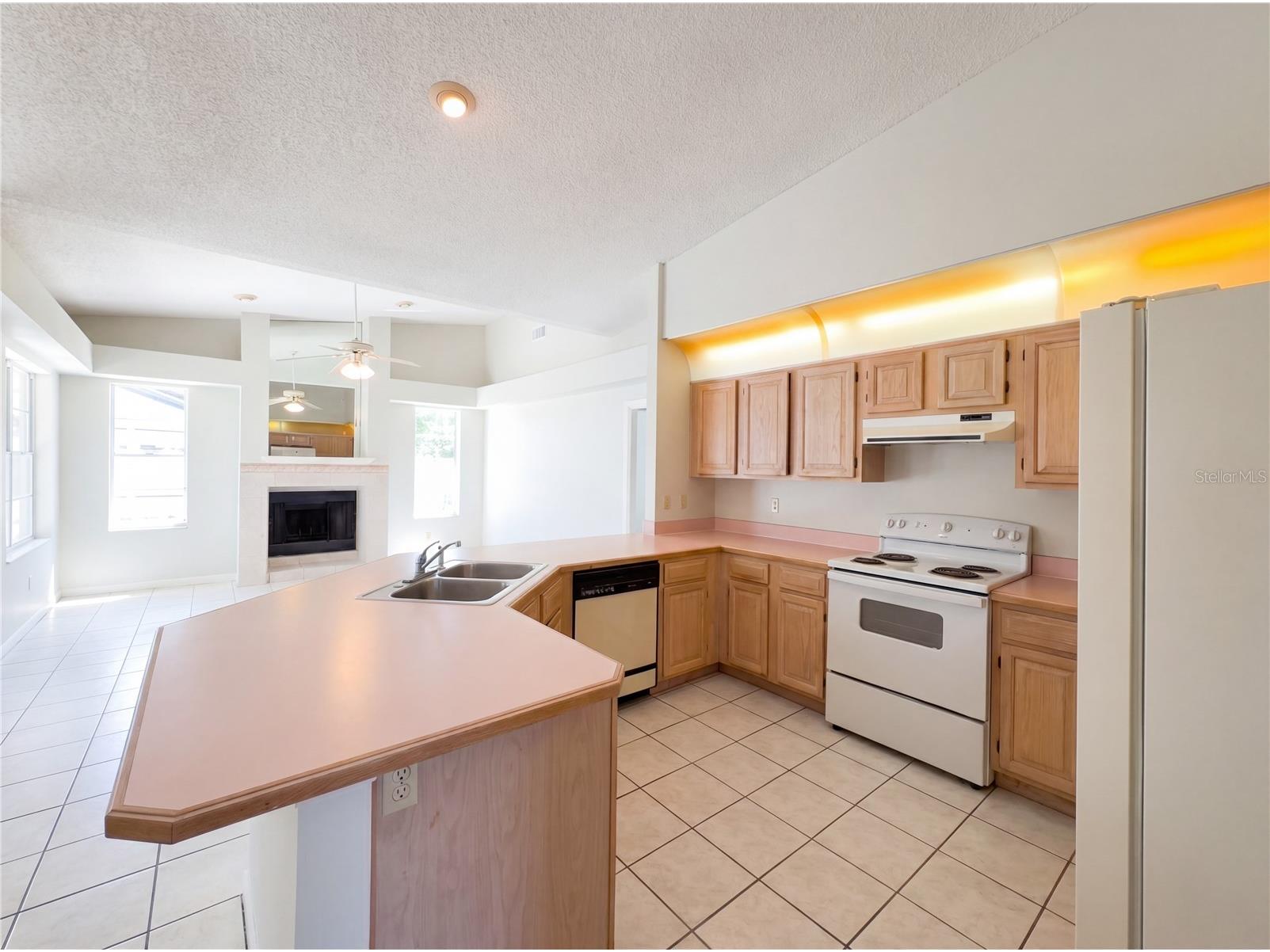 2051 Elkcam Boulevard Deltona FL 32725 O6399314 image9