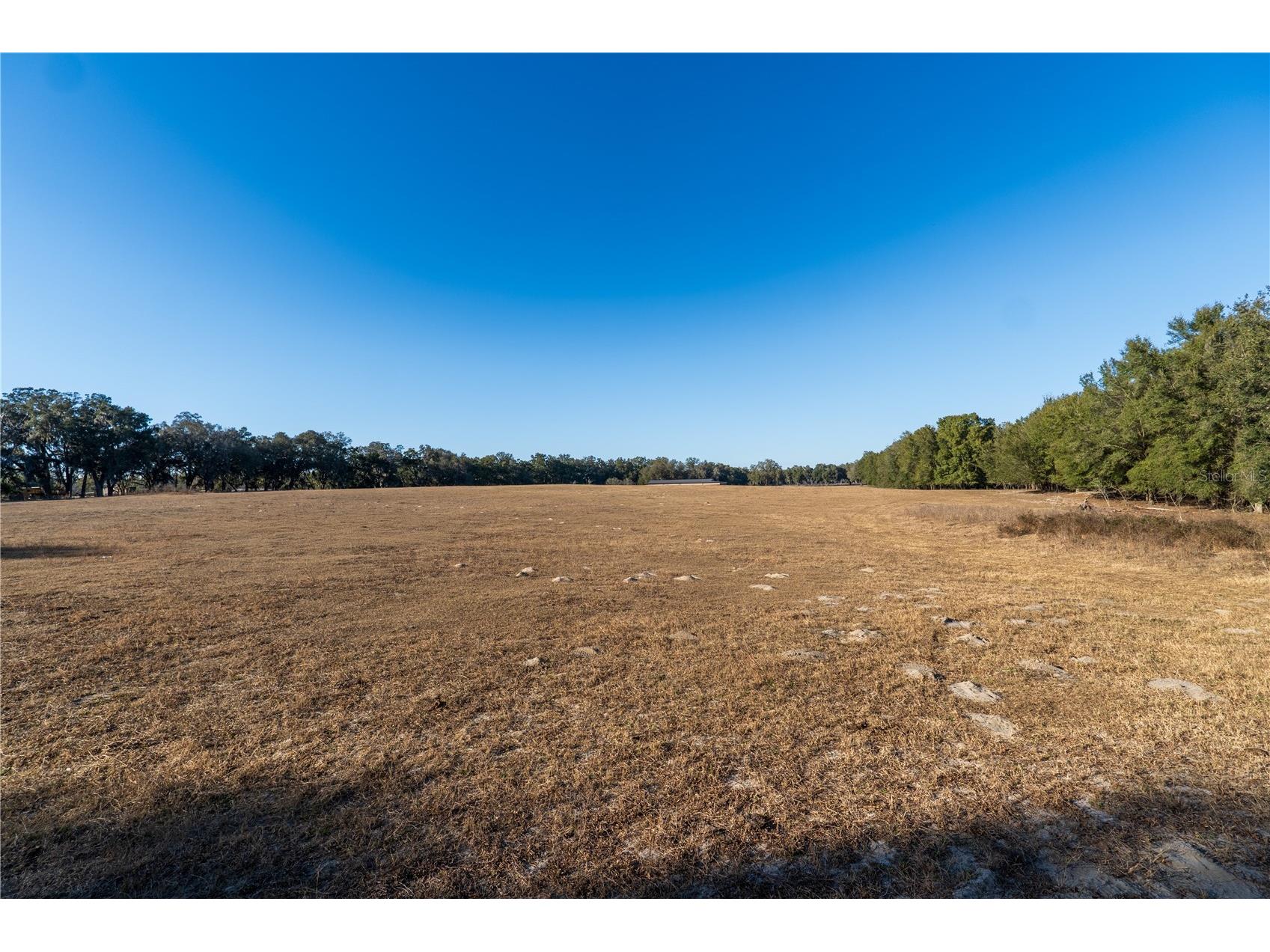 2051 Se 155th St Summerfield FL 34491 OM717332 image39