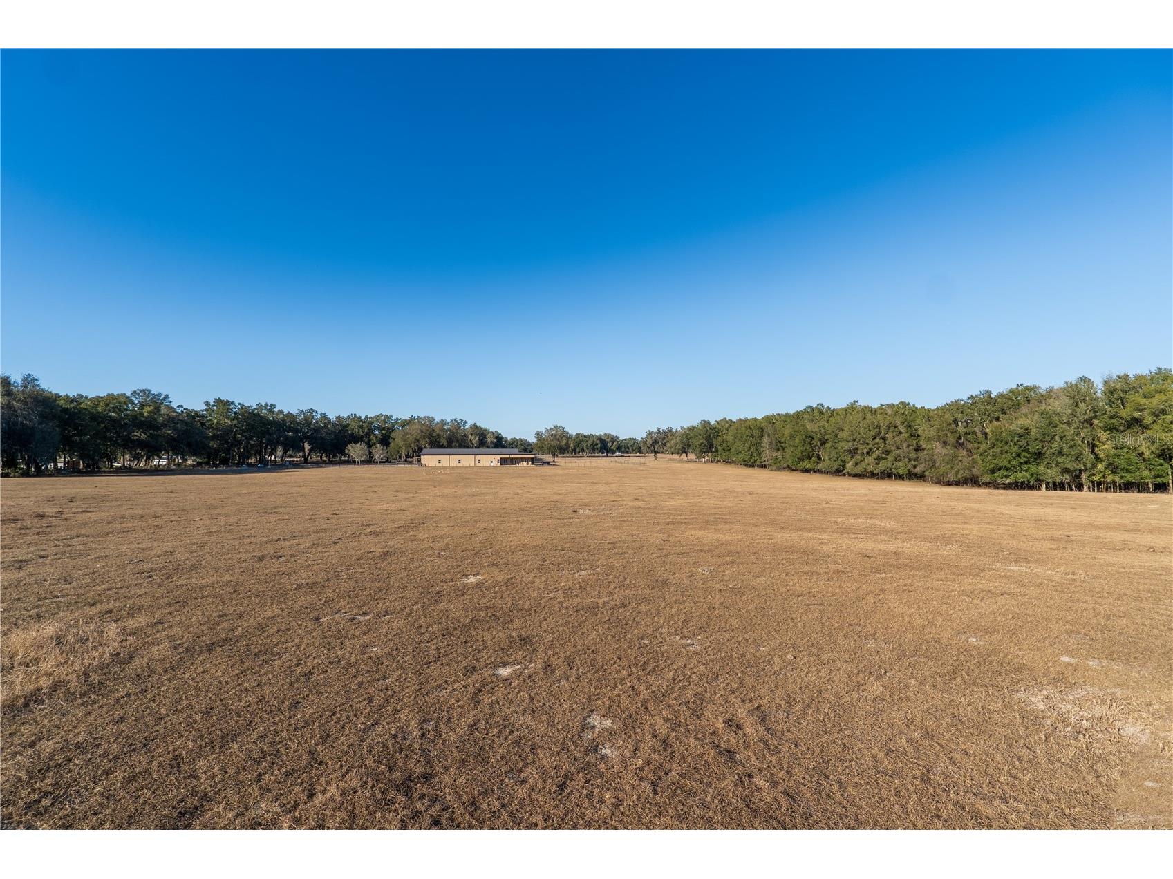 2051 Se 155th St Summerfield FL 34491 OM717332 image40