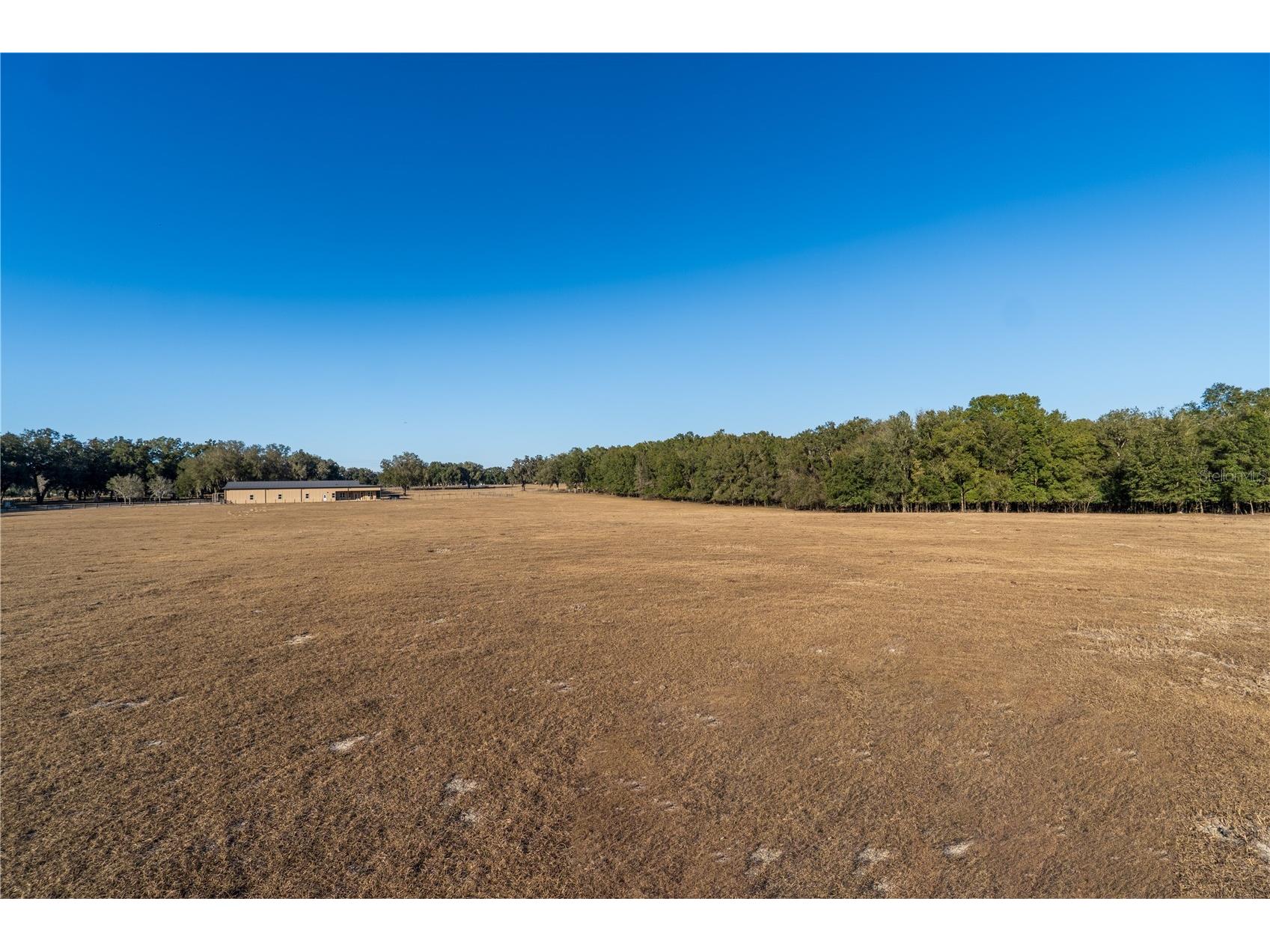 2051 Se 155th St Summerfield FL 34491 OM717332 image41
