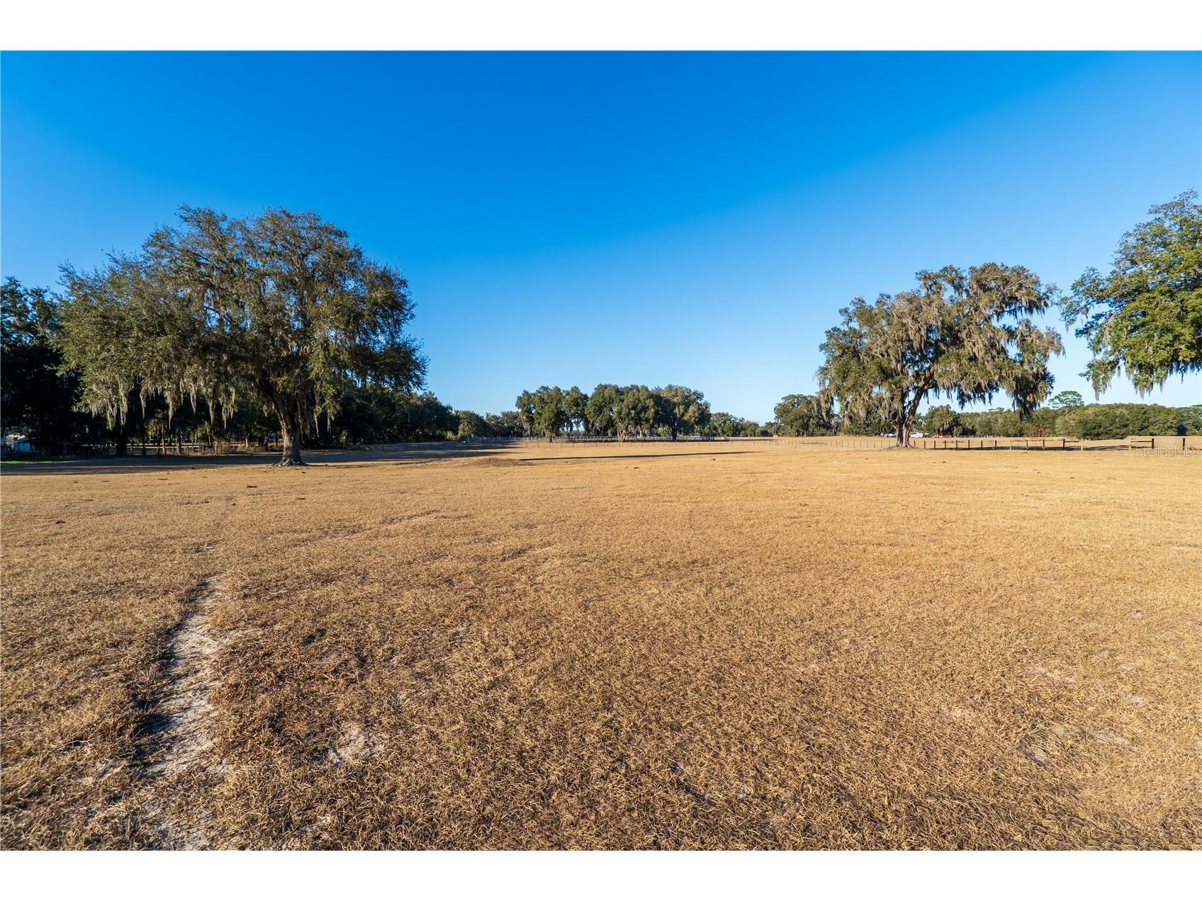 2051 Se 155th St Summerfield FL 34491 OM717332 image45