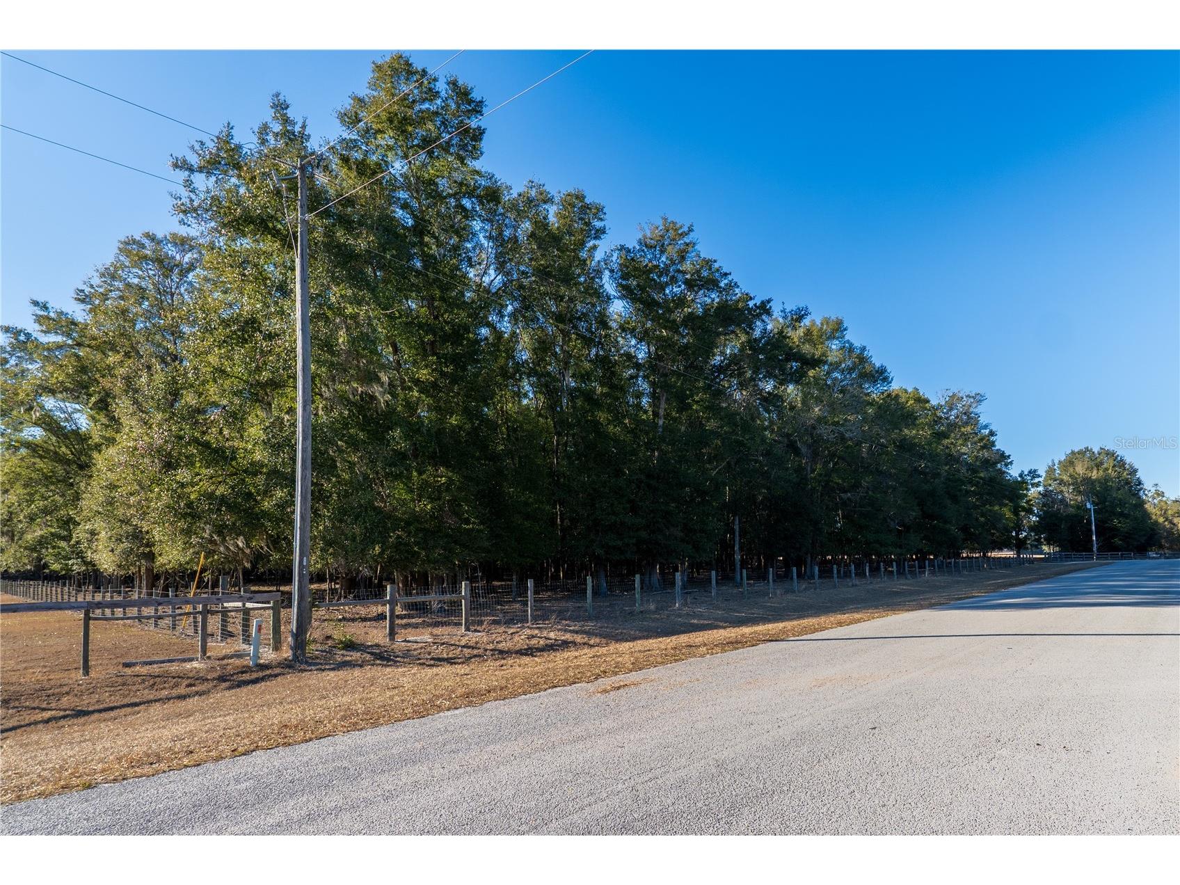 2051 Se 155th St Summerfield FL 34491 OM717332 image46
