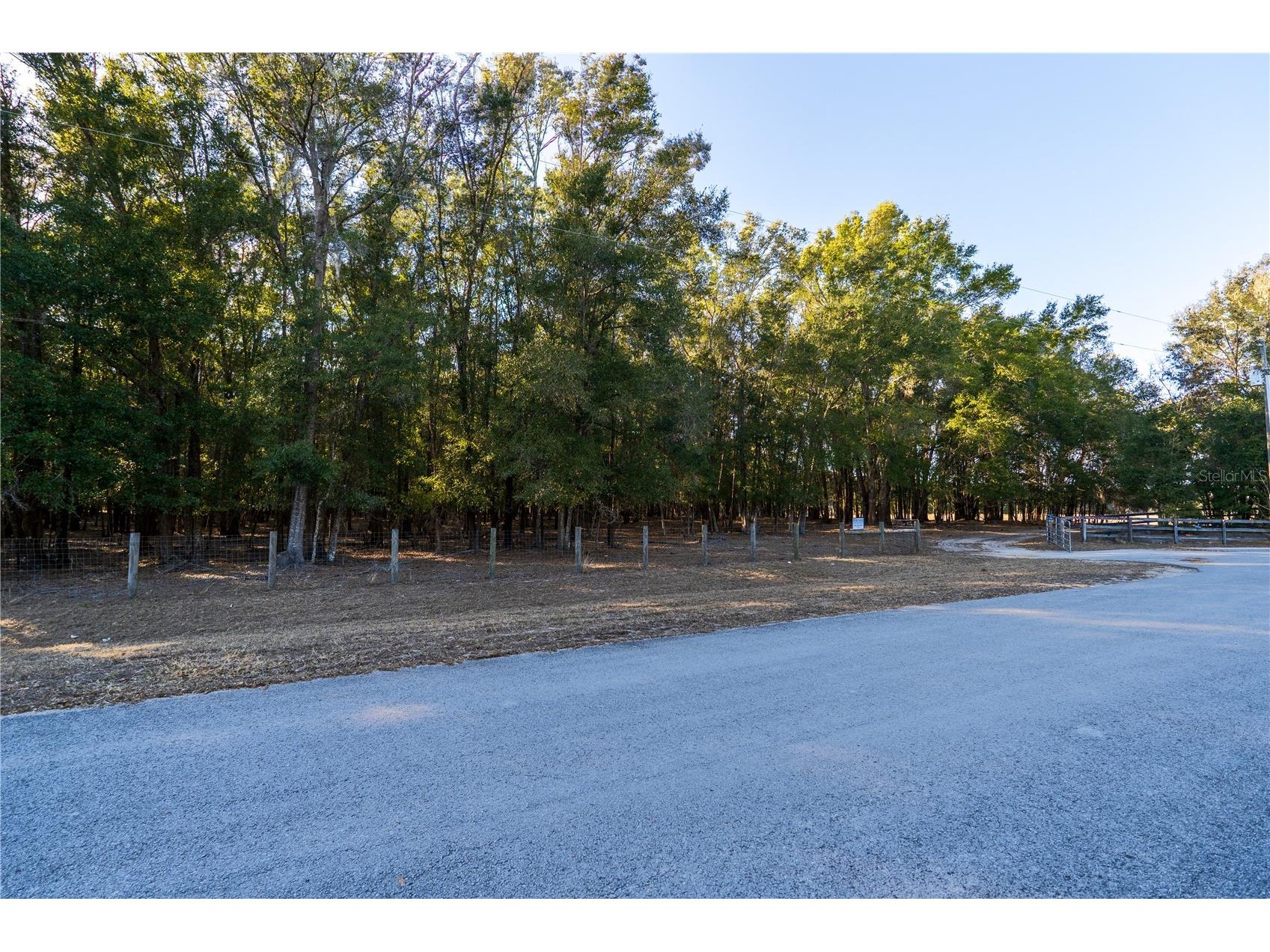 2051 Se 155th St Summerfield FL 34491 OM717332 image47