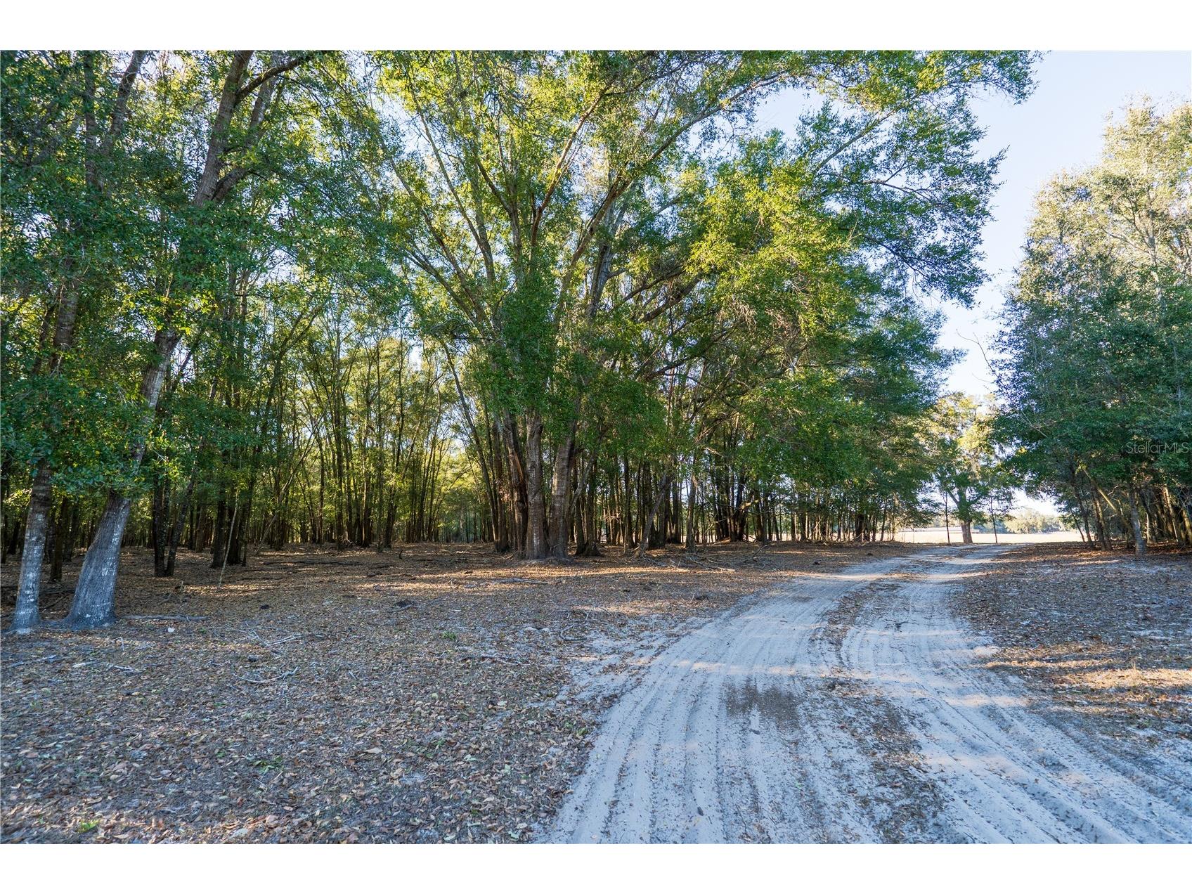 2051 Se 155th St Summerfield FL 34491 OM717332 image48