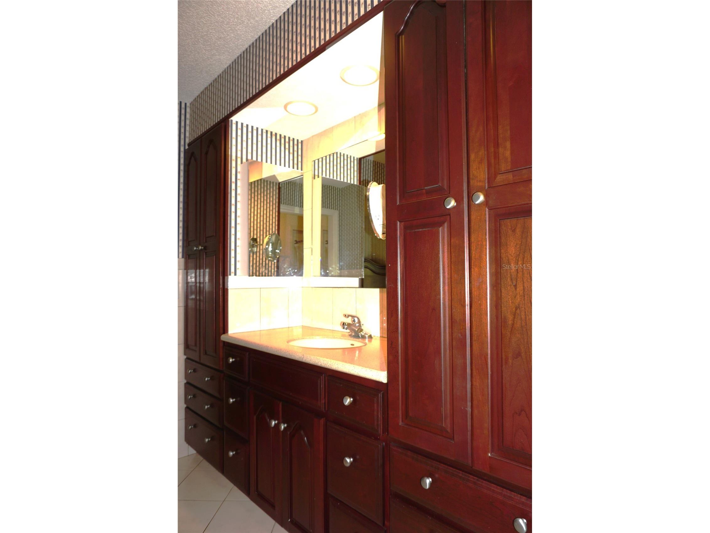 2051 Vista Del Sol Circle #201 Lutz FL 33558 W7881480 image25
