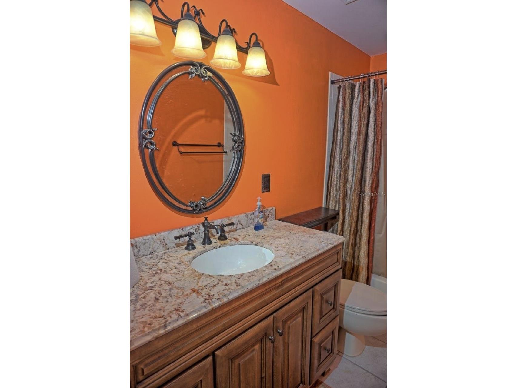 2051 Vista Del Sol Circle #202 Lutz FL 33558 W7882875 image28