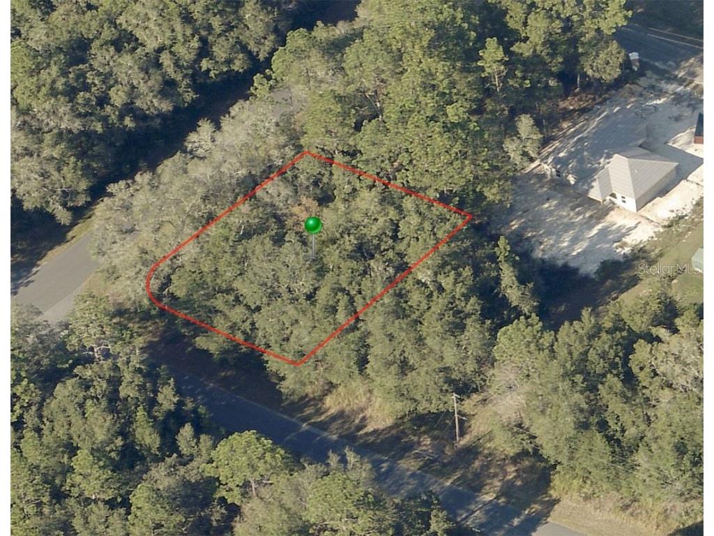 2051 W Andromedae Drive Citrus Springs FL 34433 OM652372 image1