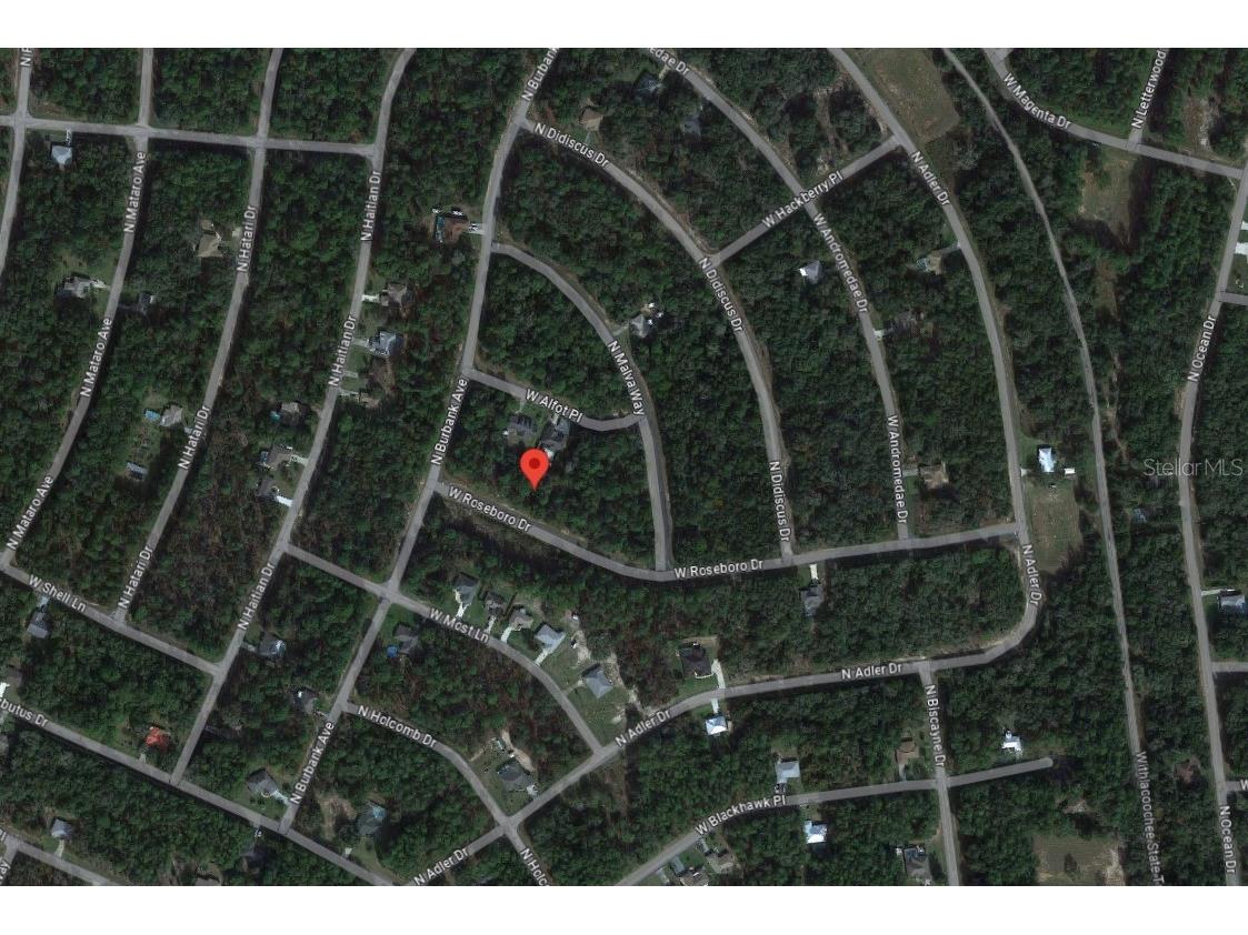 2051 W Roseboro Drive Citrus Springs FL 34434 A4587843 image1