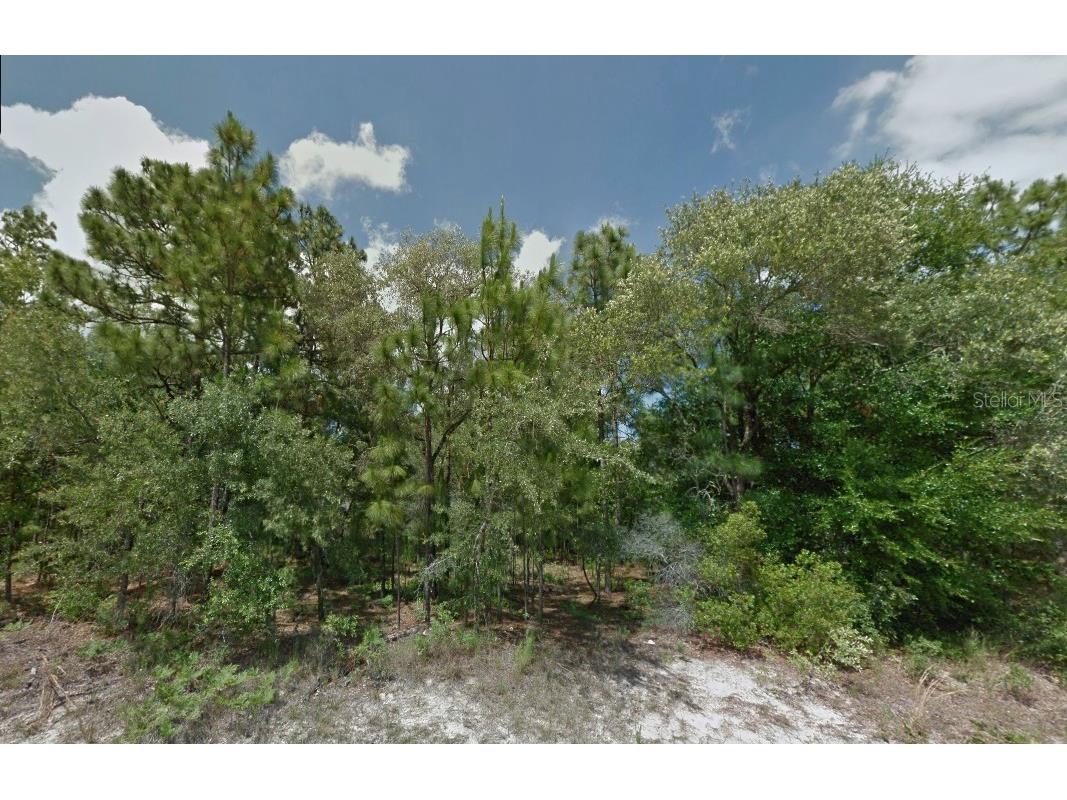 2051 W Roseboro Drive Citrus Springs FL 34434 O6186669 image1