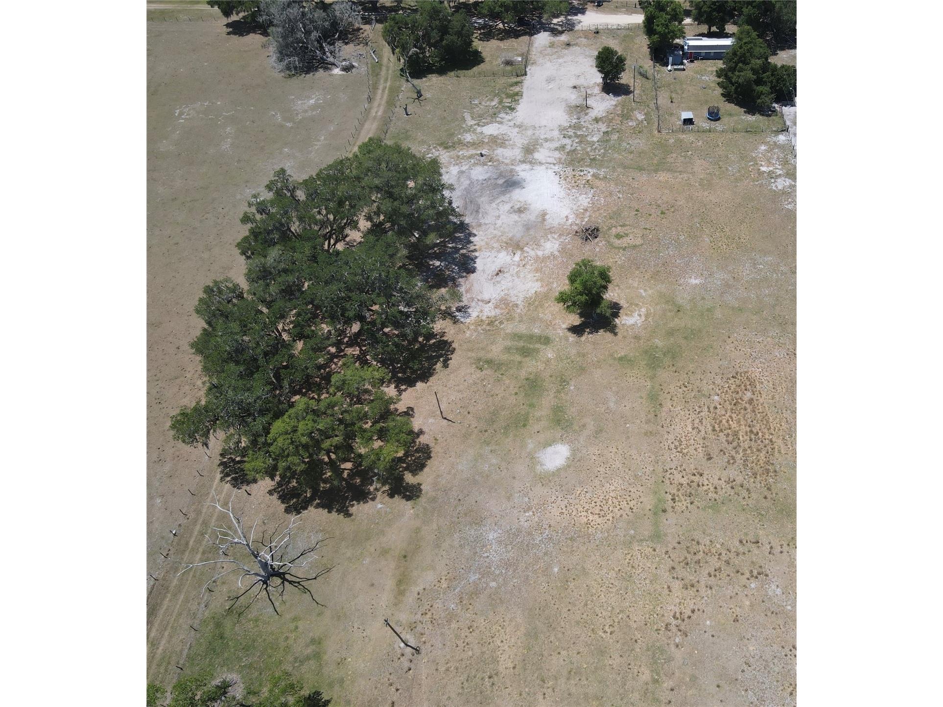 20512 Ramer Road Dade City FL 33523 TB8492667 image11