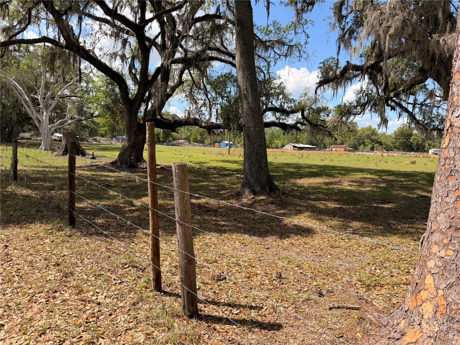 20512 Ramer Road Dade City FL 33523 TB8492667 image2