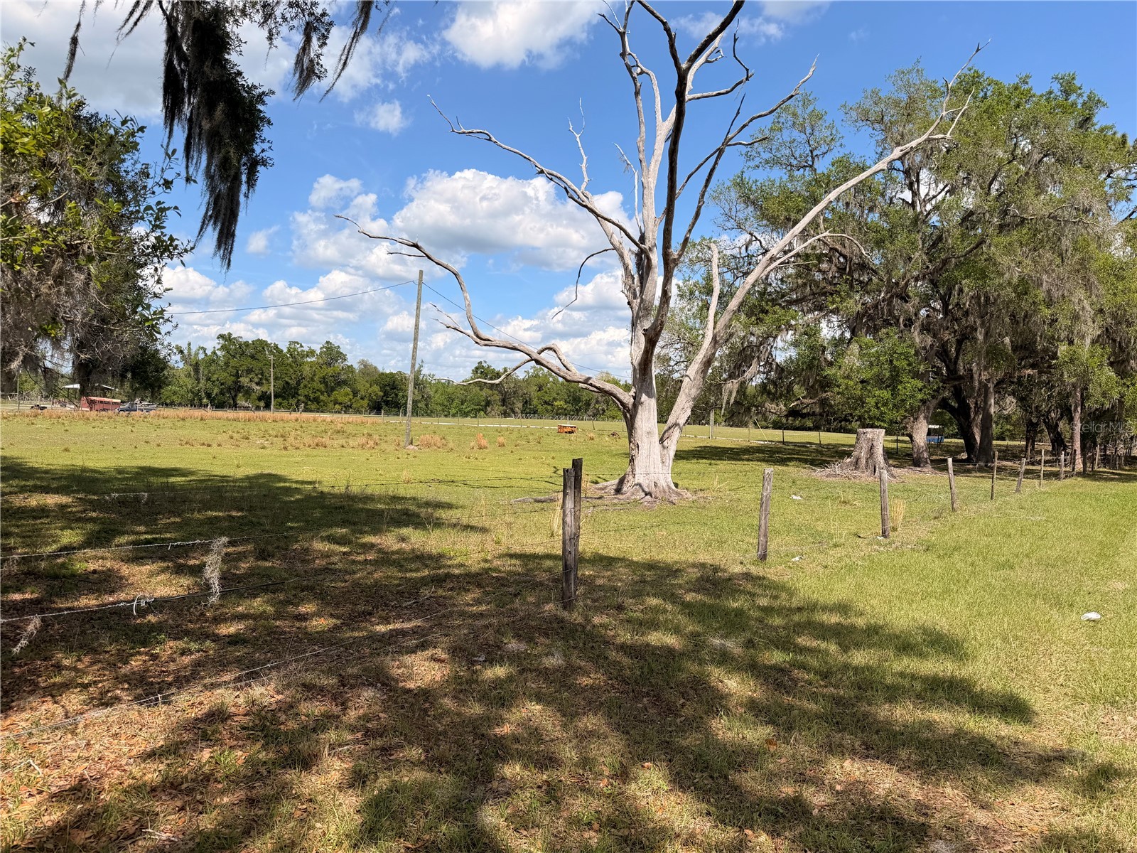 20512 Ramer Road Dade City FL 33523 TB8492667 image3