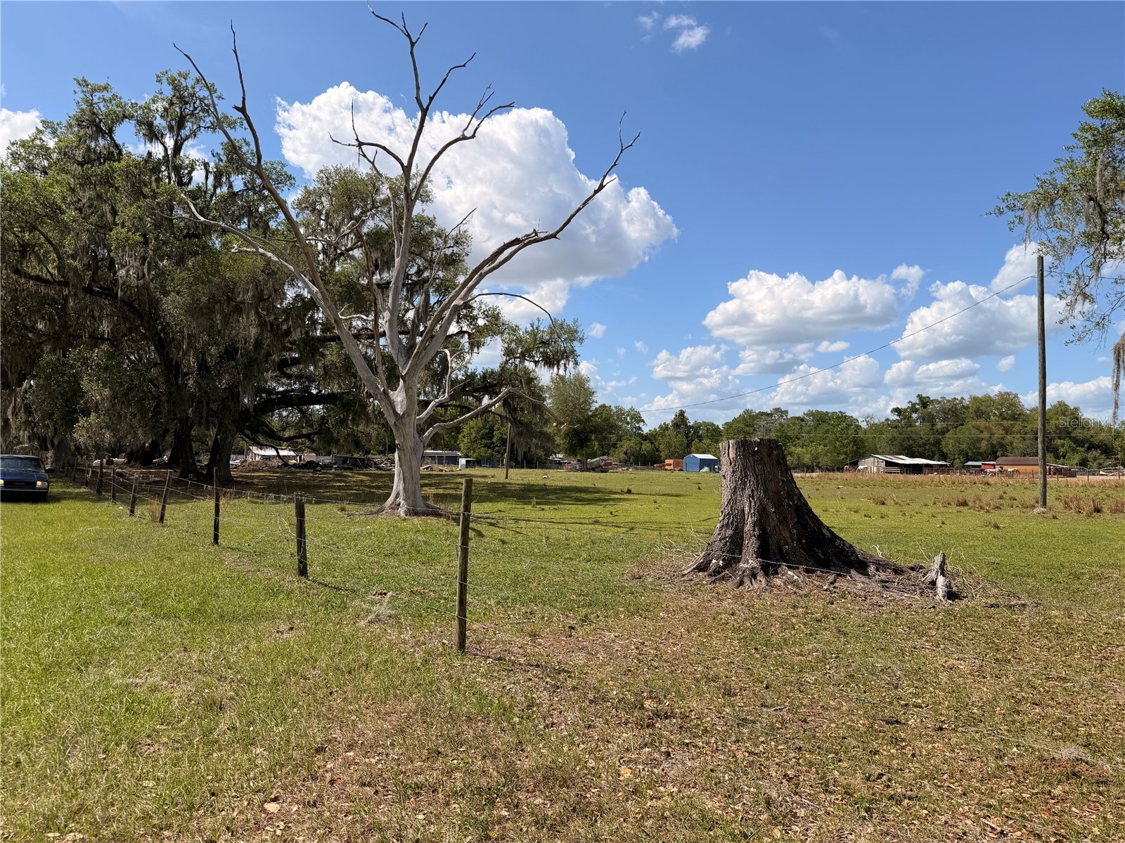 20512 Ramer Road Dade City FL 33523 TB8492667 image4