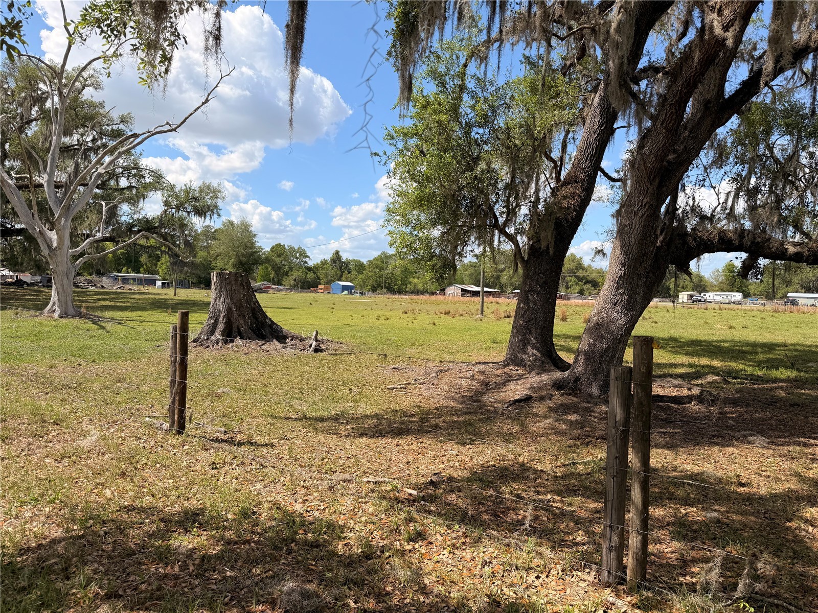 20512 Ramer Road Dade City FL 33523 TB8492667 image6