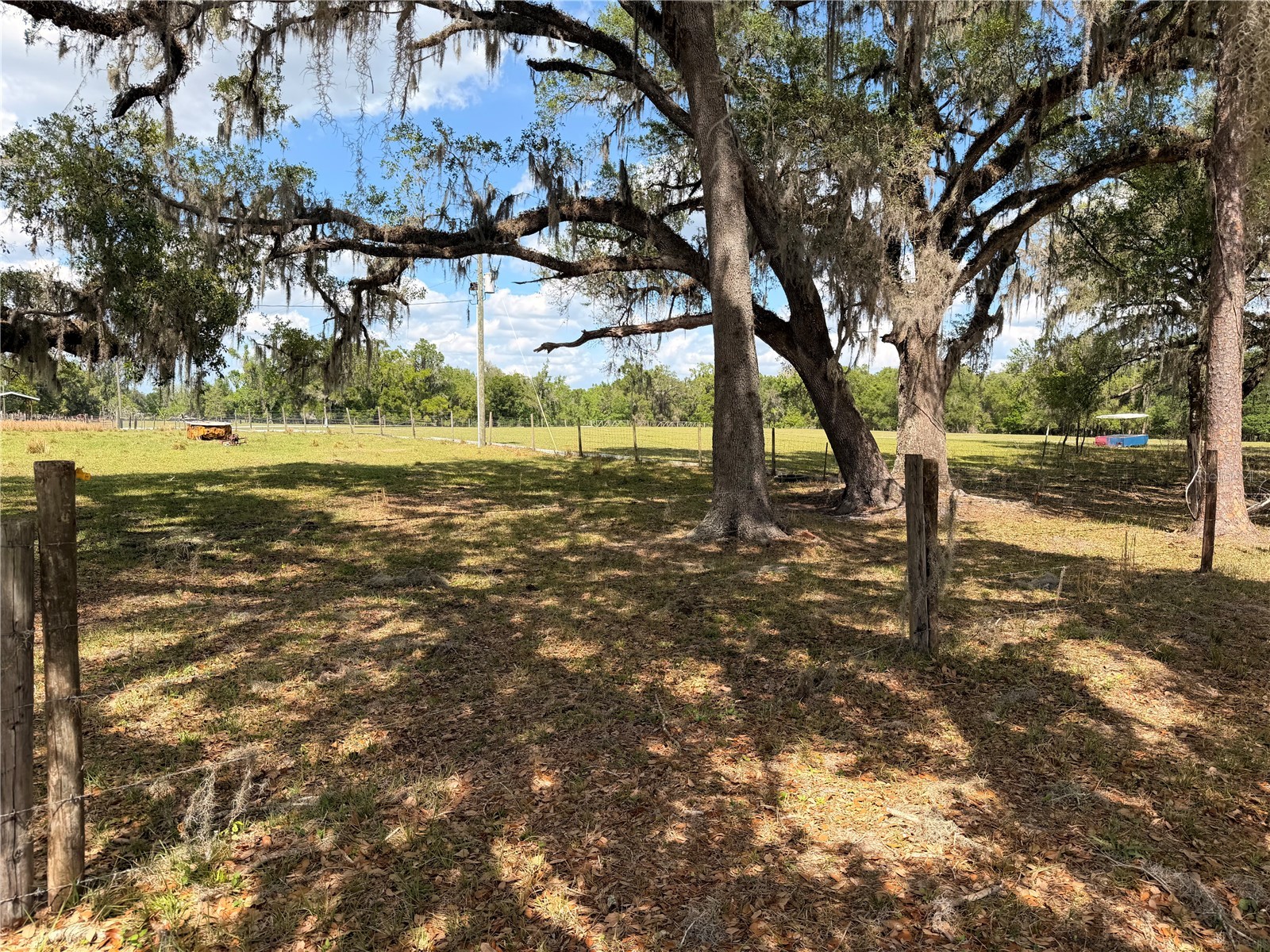 20512 Ramer Road Dade City FL 33523 TB8492667 image7