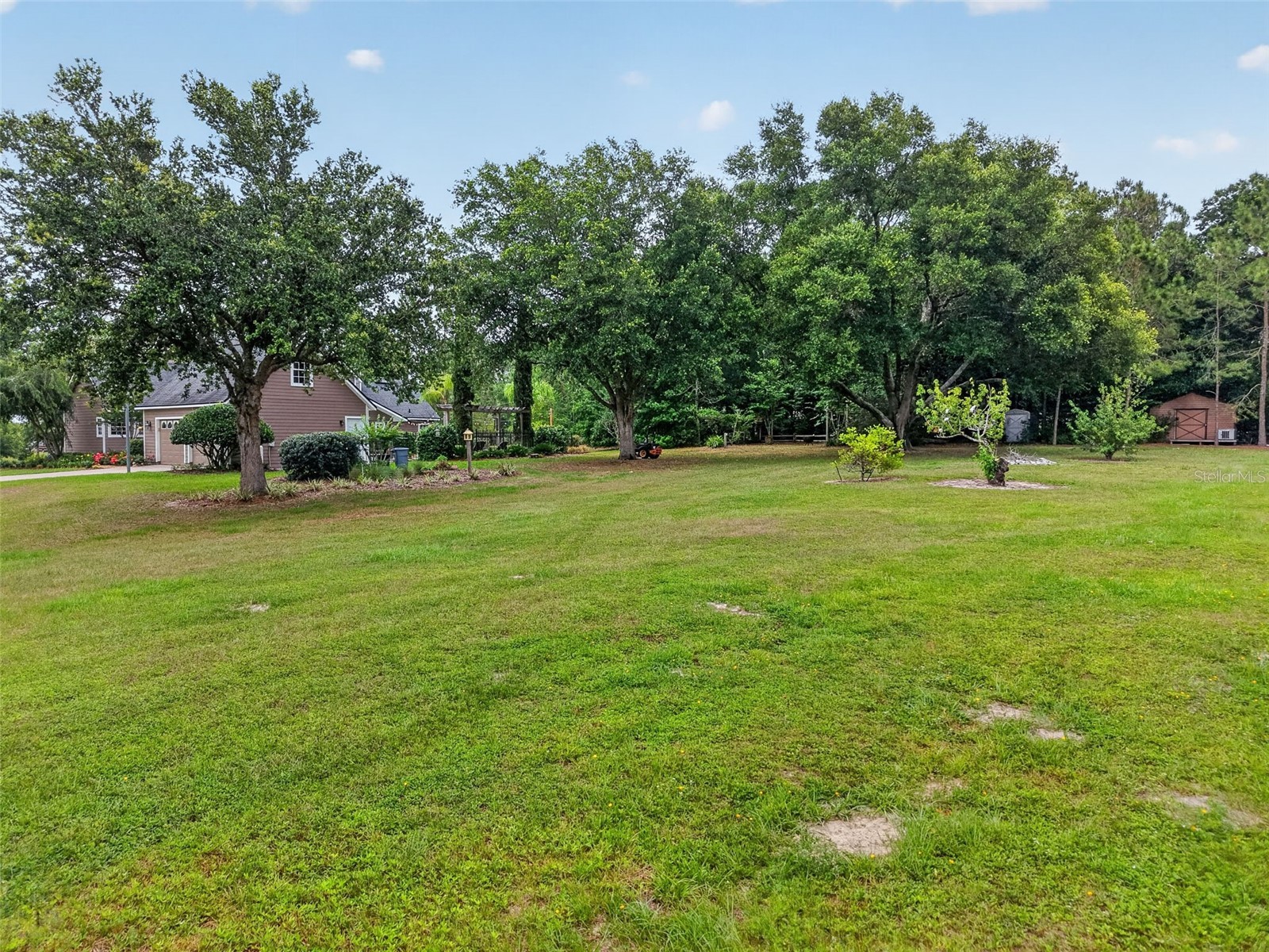 20514 Bill Collins Road Eustis FL 32736 G5112461 image61