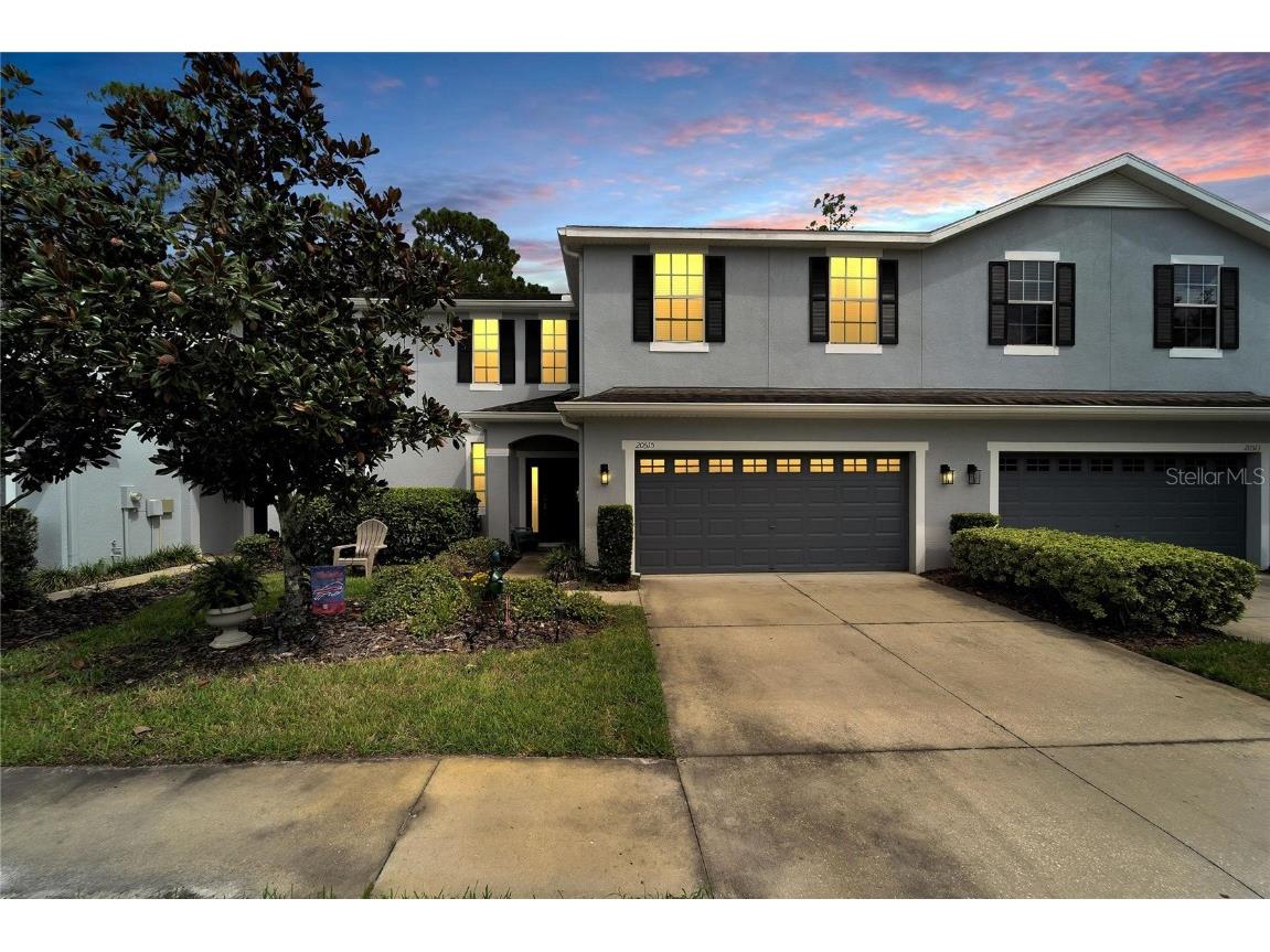 20515 Grand Vista Lane Tampa FL 33647 T3461943 image1