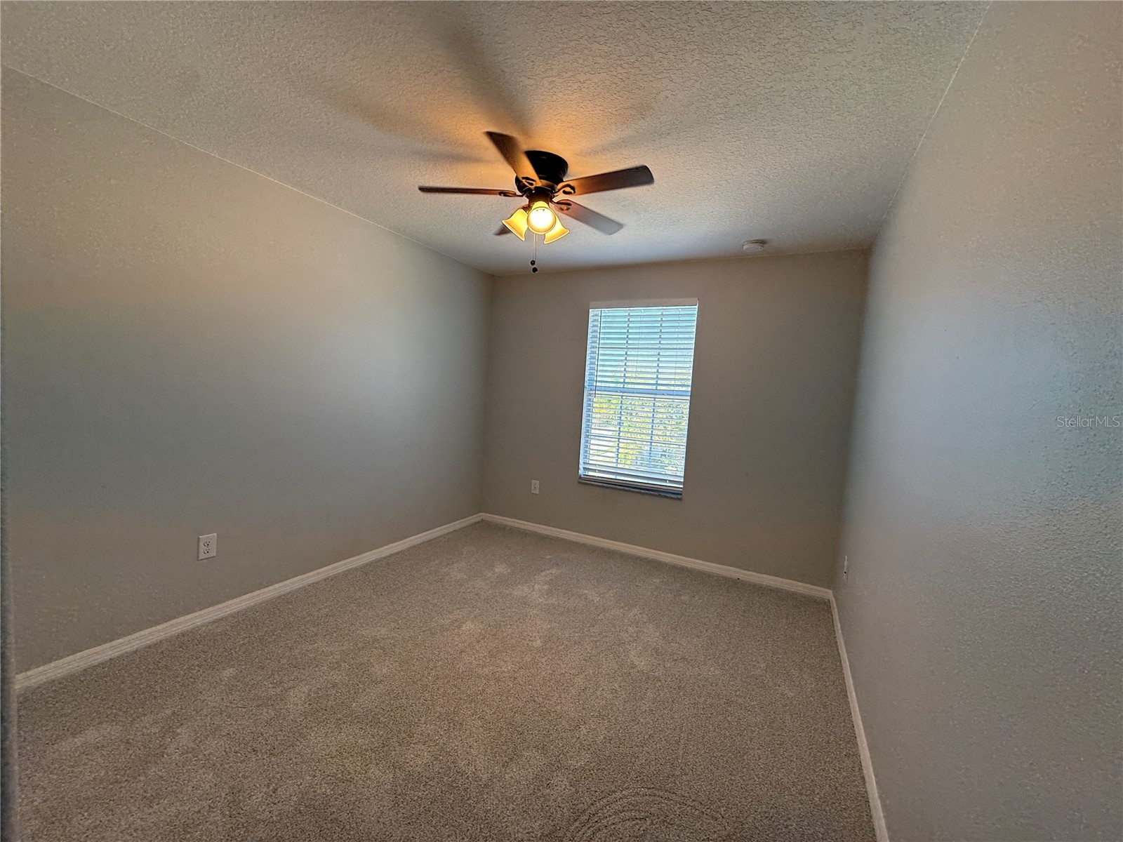 20515 Grand Vista Lane Tampa FL 33647 TB8489000 image17