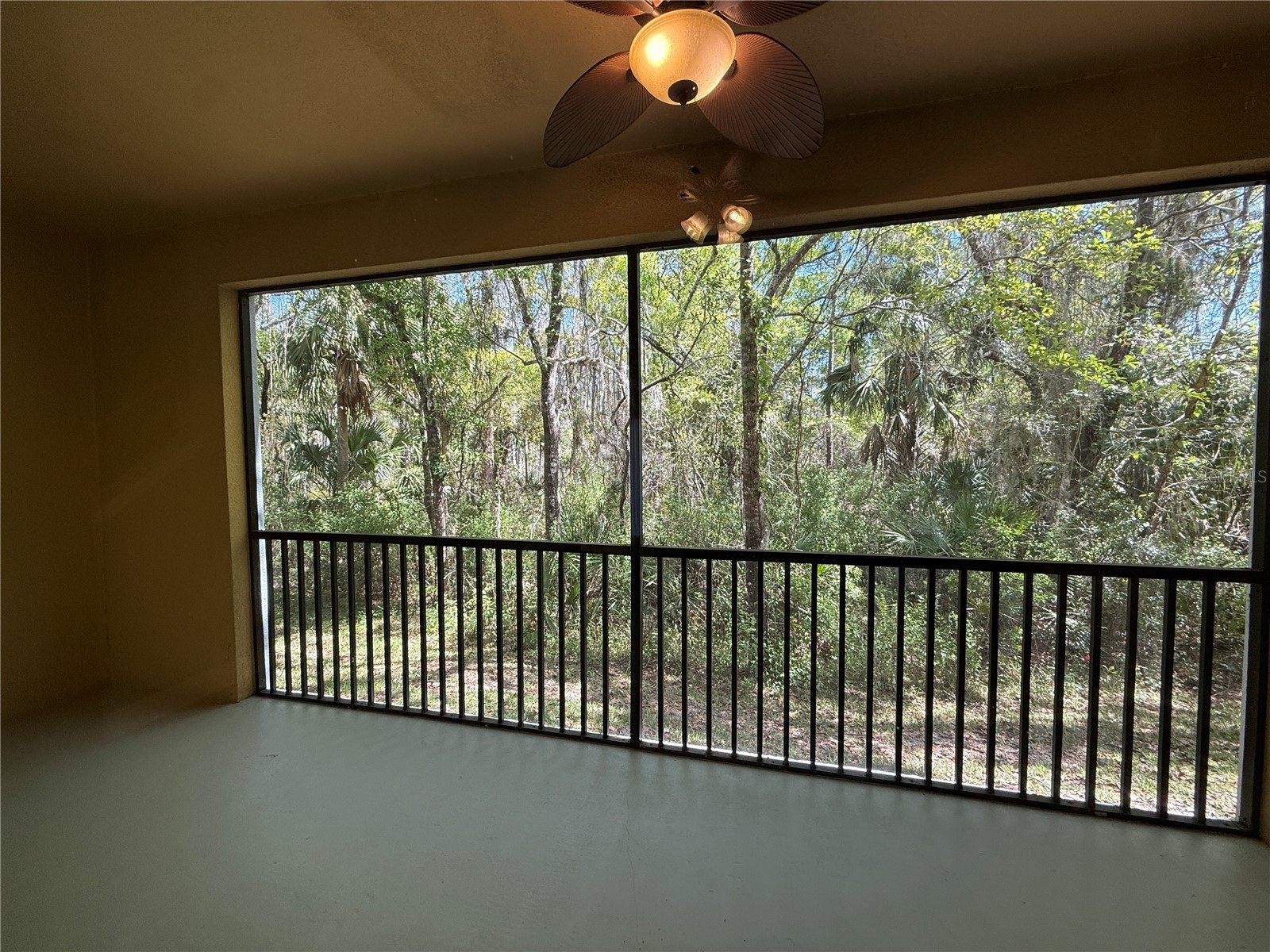 20515 Grand Vista Lane Tampa FL 33647 TB8489000 image27